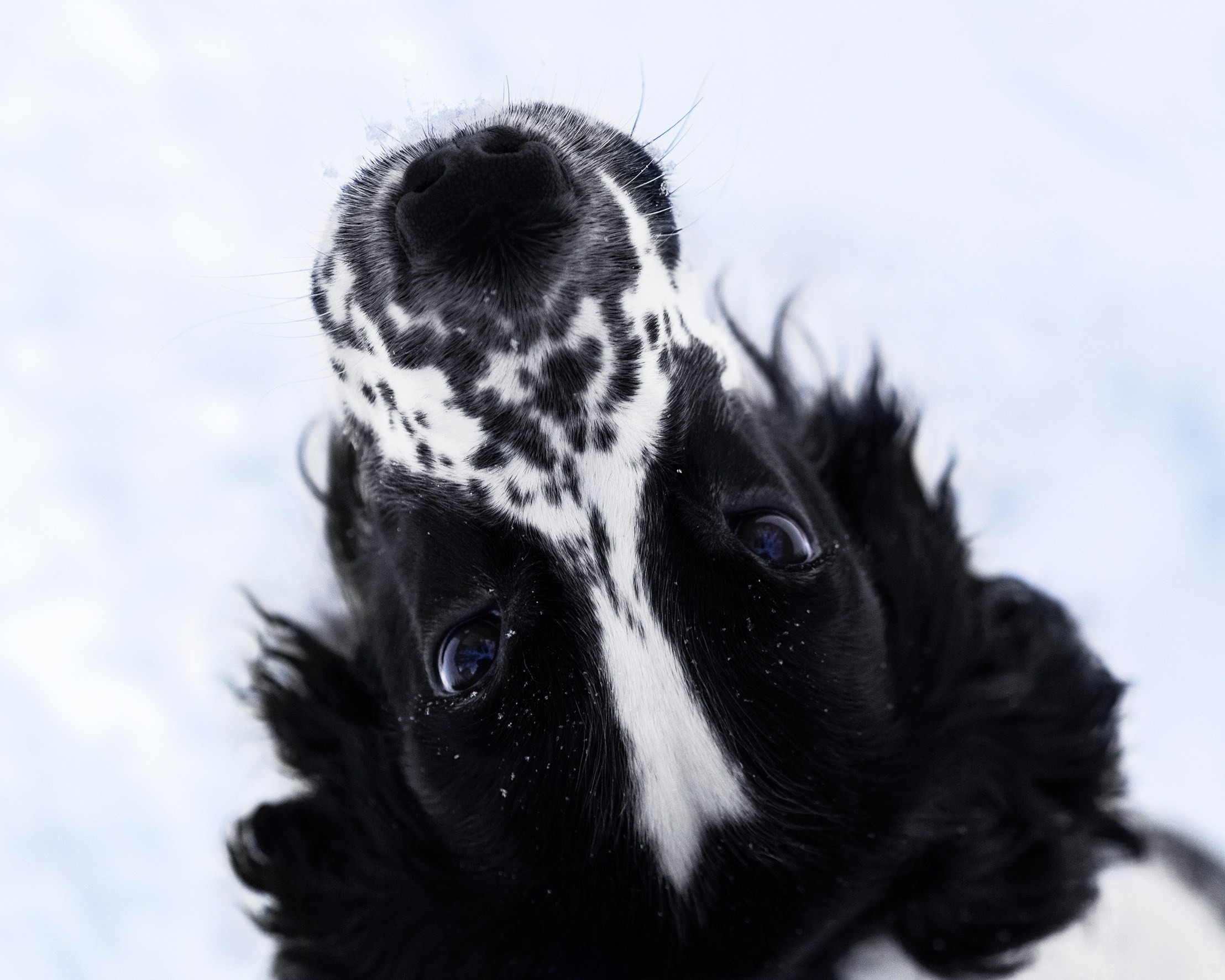 Саша и Стив