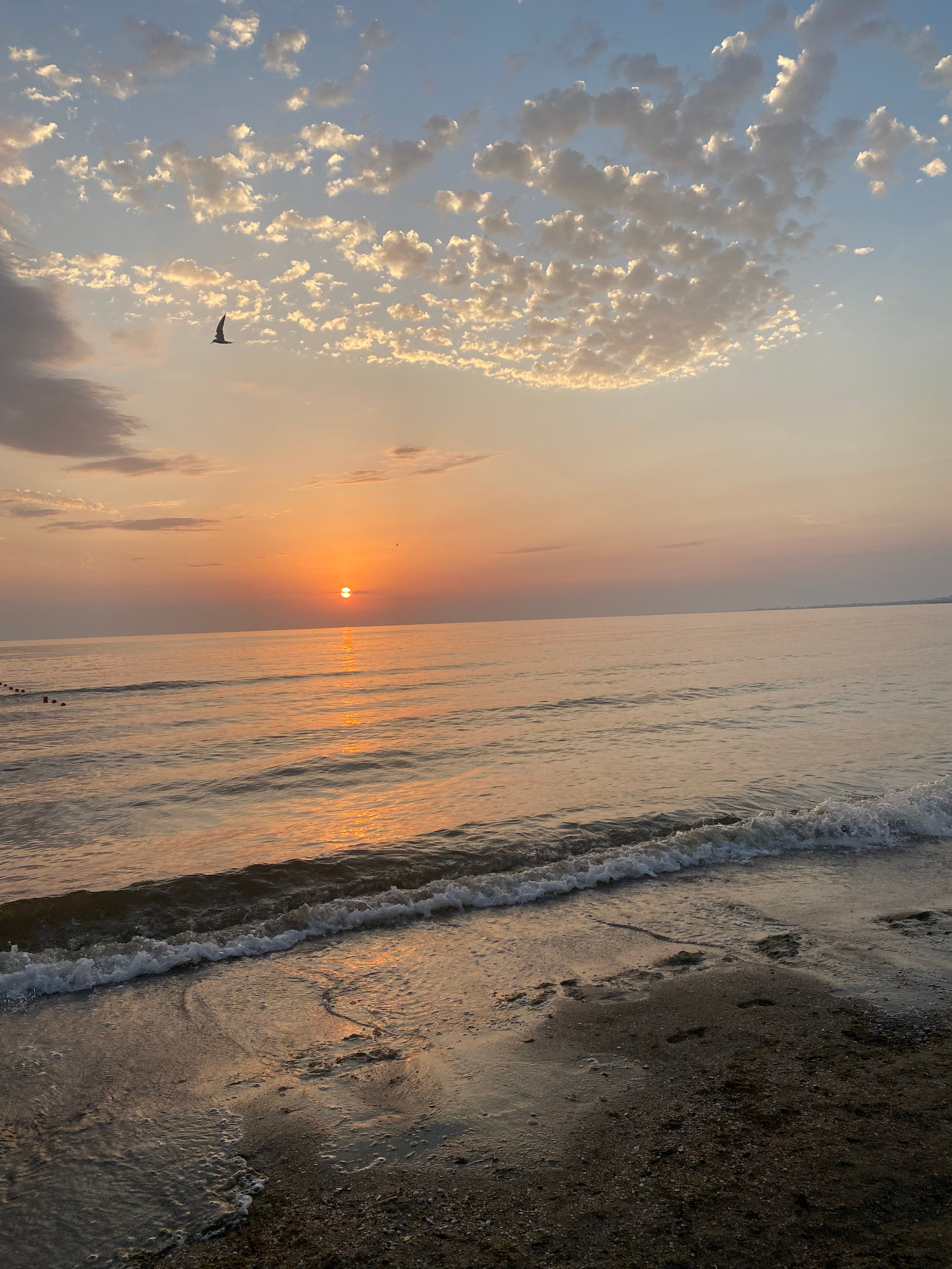 Пляжный поселок — 21. Своя Мастерская