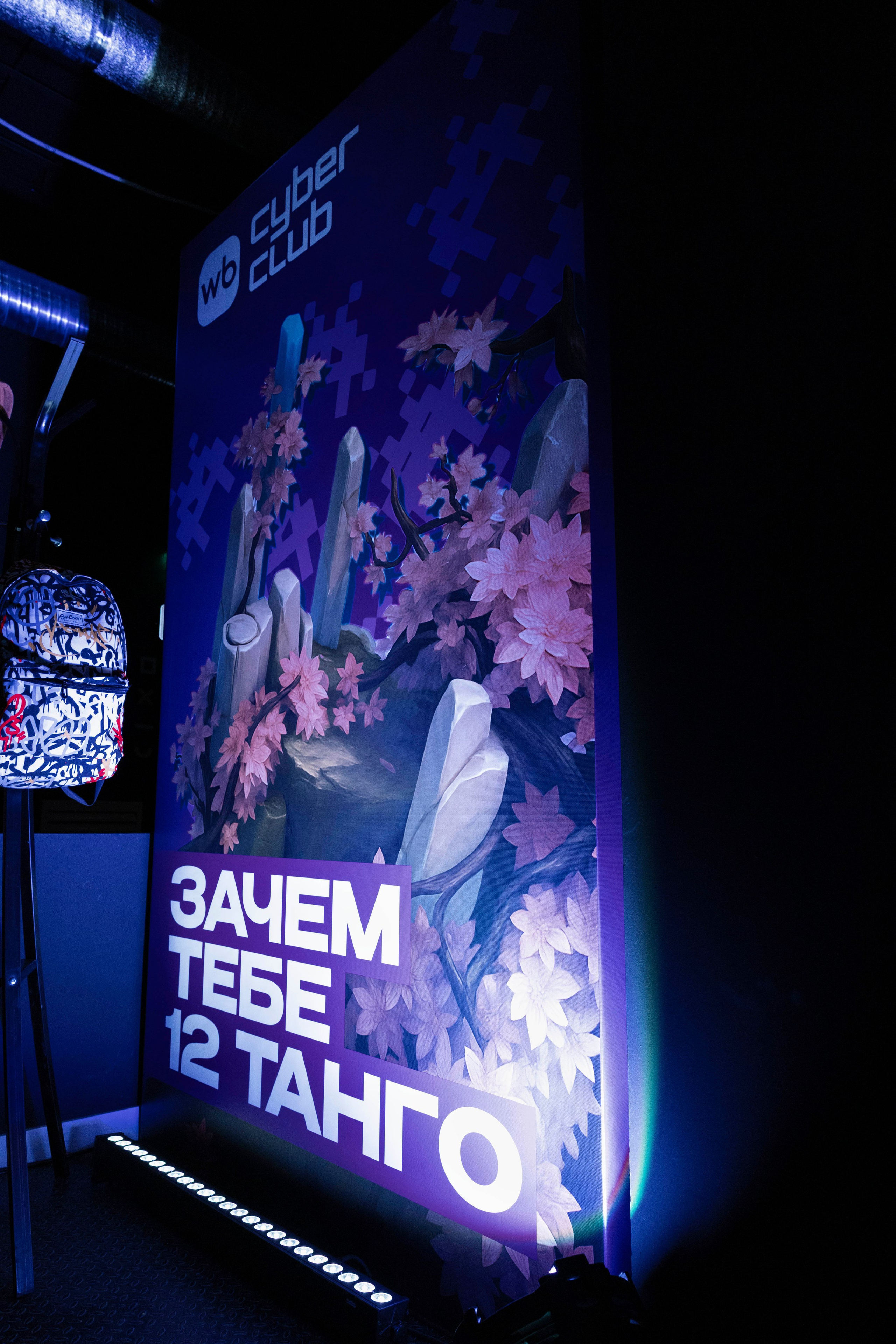 Cybersport. Художественный и киберспортивный фотограф Олег Walkcat