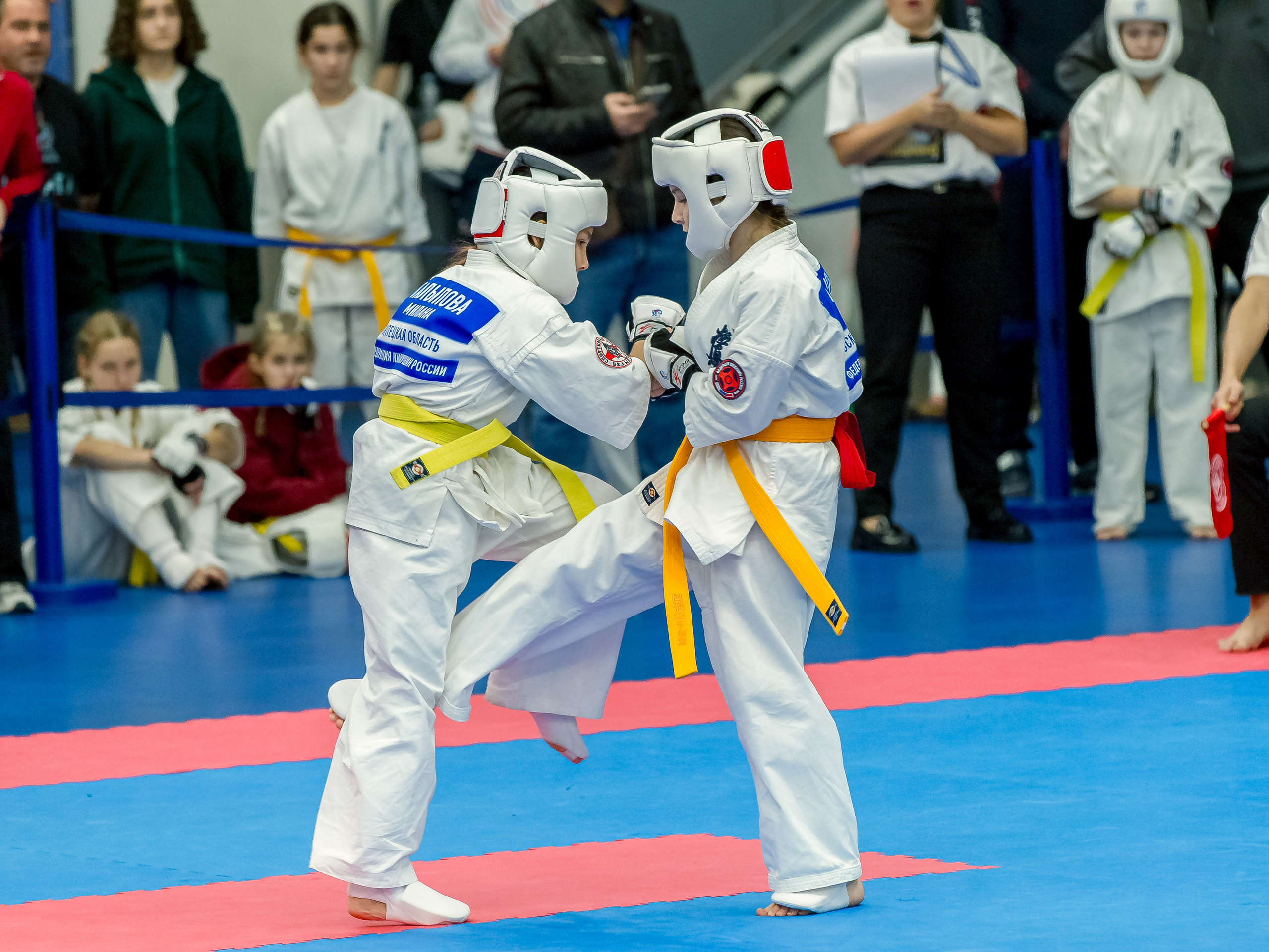 Соревнования по Киокушин памяти С. Увицкого. Репортажная съемка в Москве и области. Анималистика