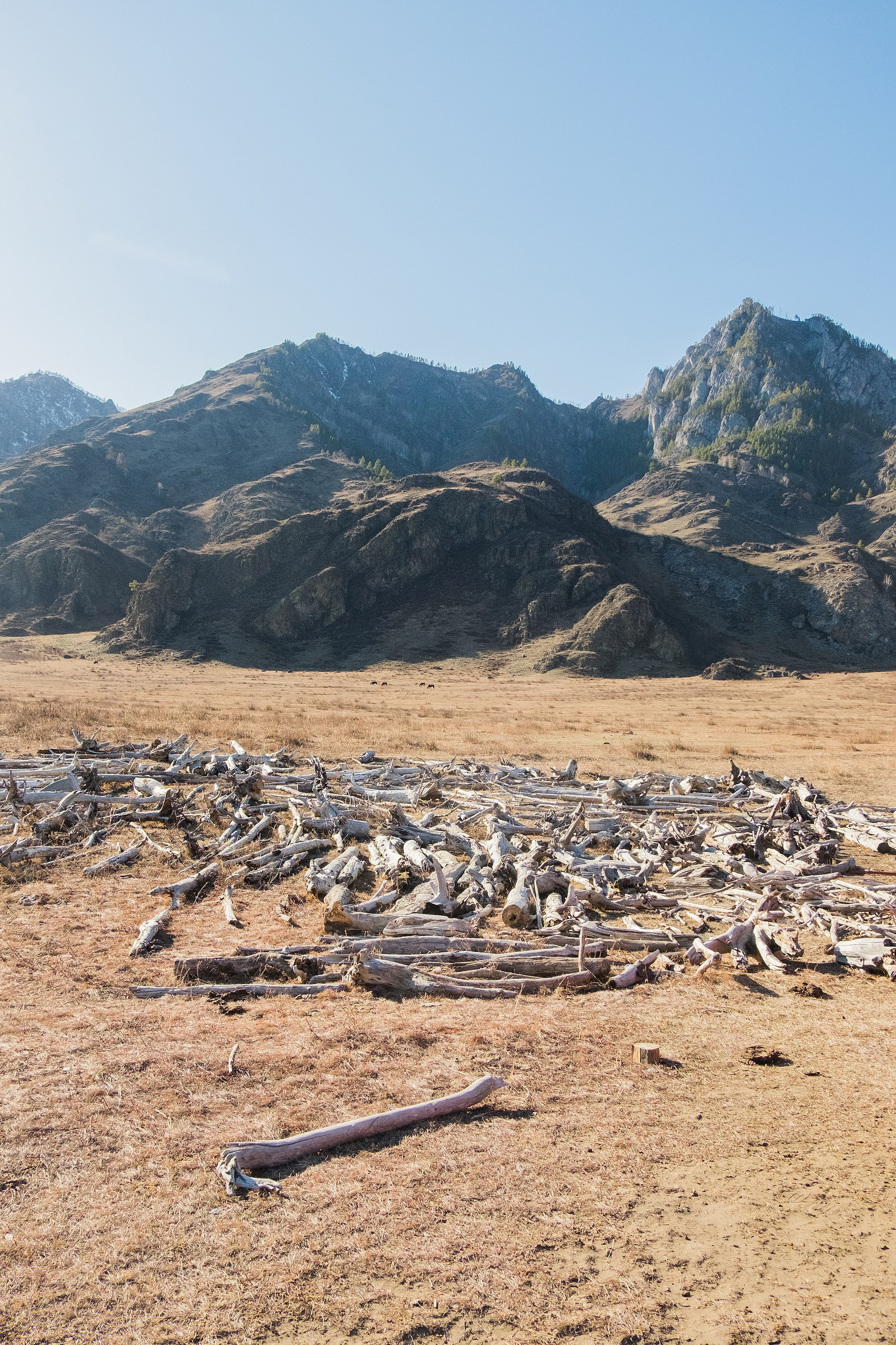 Landscapes. Стас Понятовский