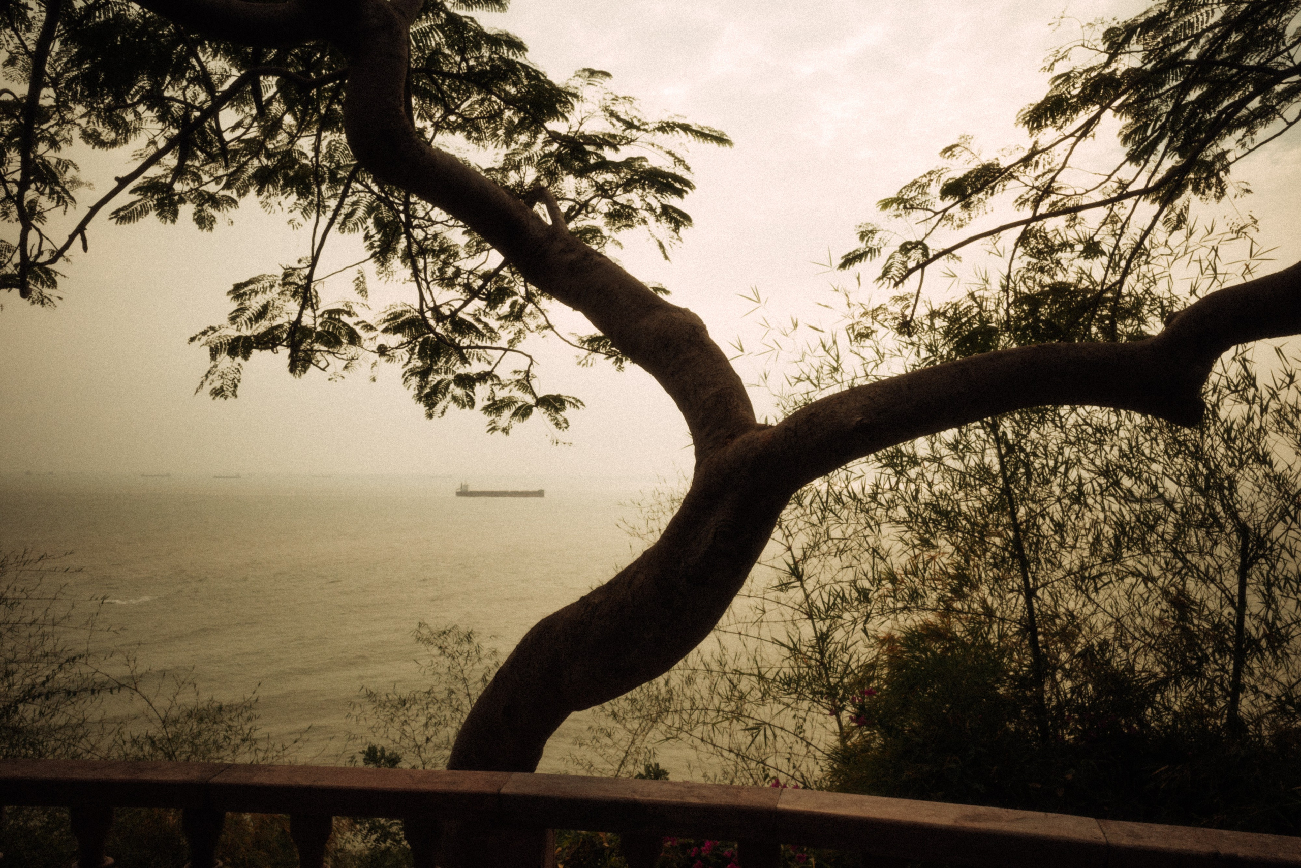 Вьетнам плёнка. Свадебный фотограф в Спб Сергей Баланян