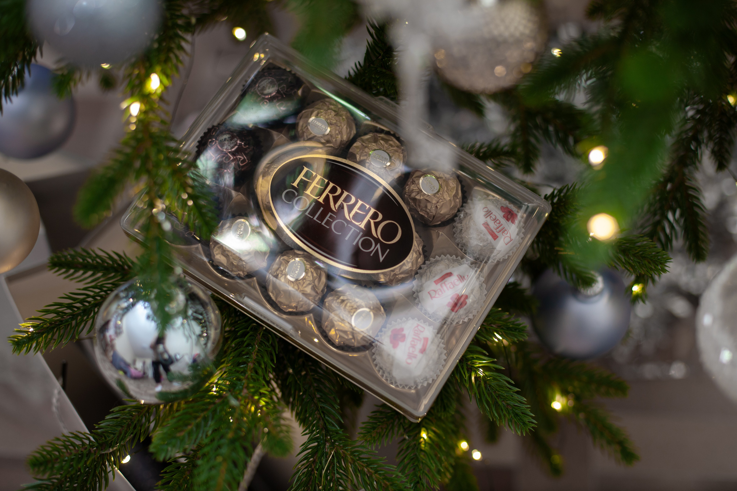 Домашняя. Фотограф в Томске Евгения Гуляева