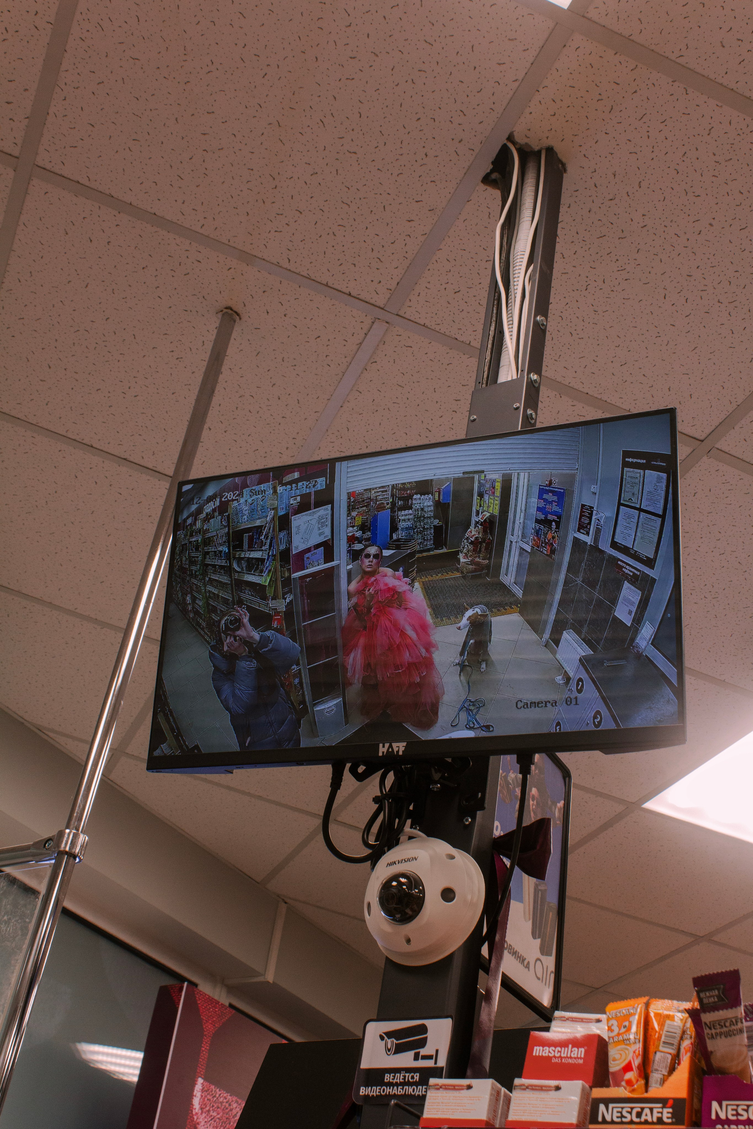 Яркая собачья жизнь