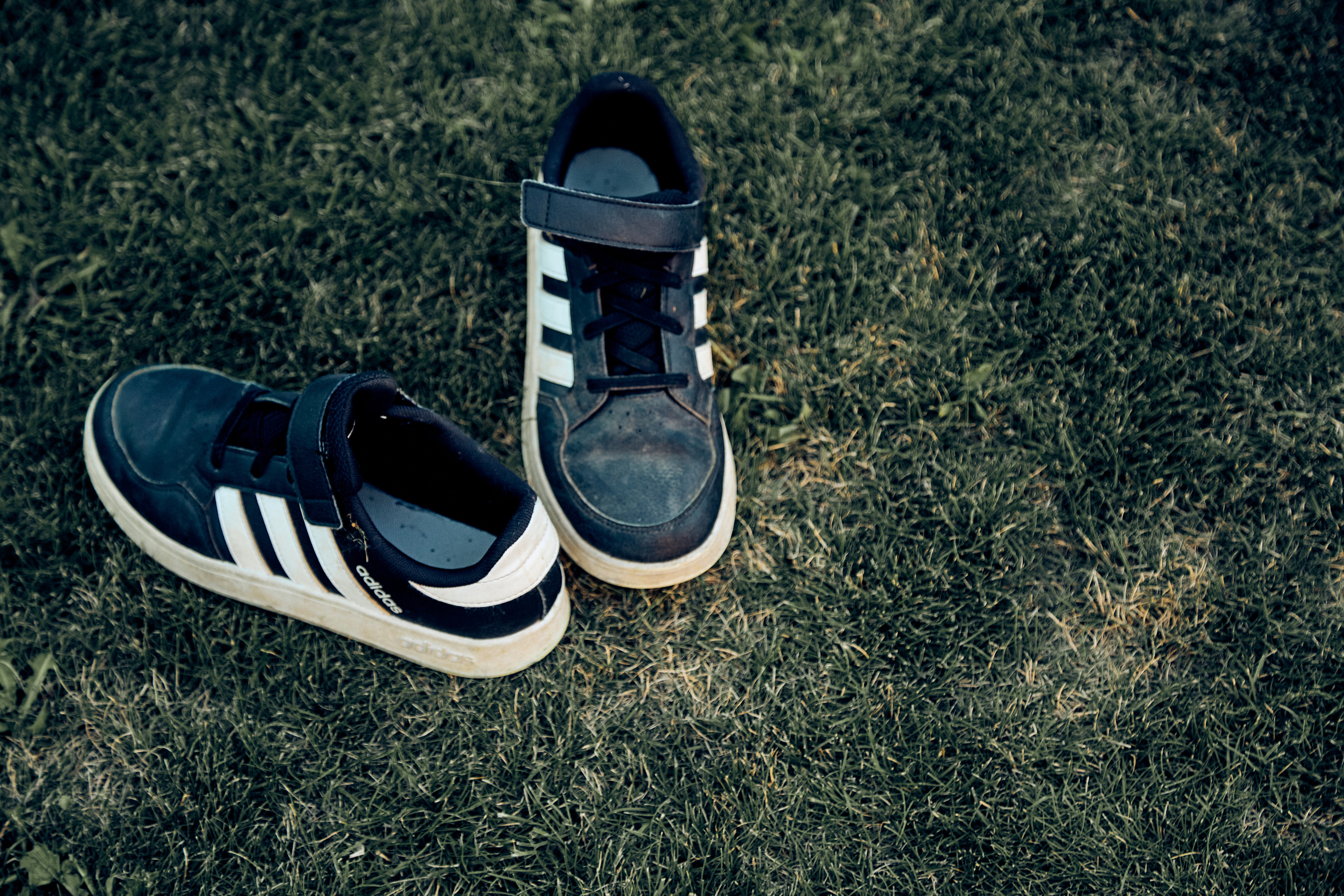 Солнечный вечер. Свадебный и семейный фотограф Наро-Фоминск, Москва