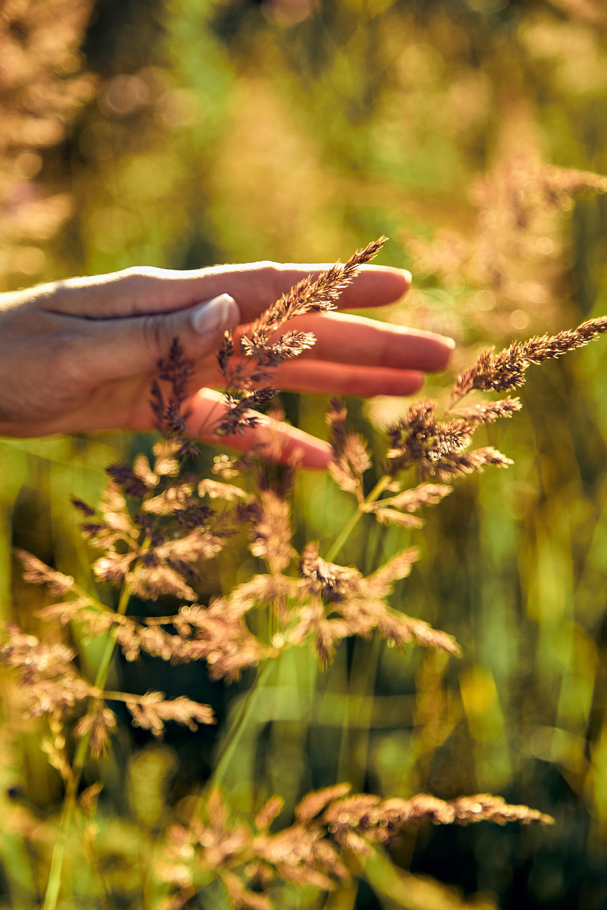 Солнечный вечер. Свадебный и семейный фотограф Наро-Фоминск, Москва
