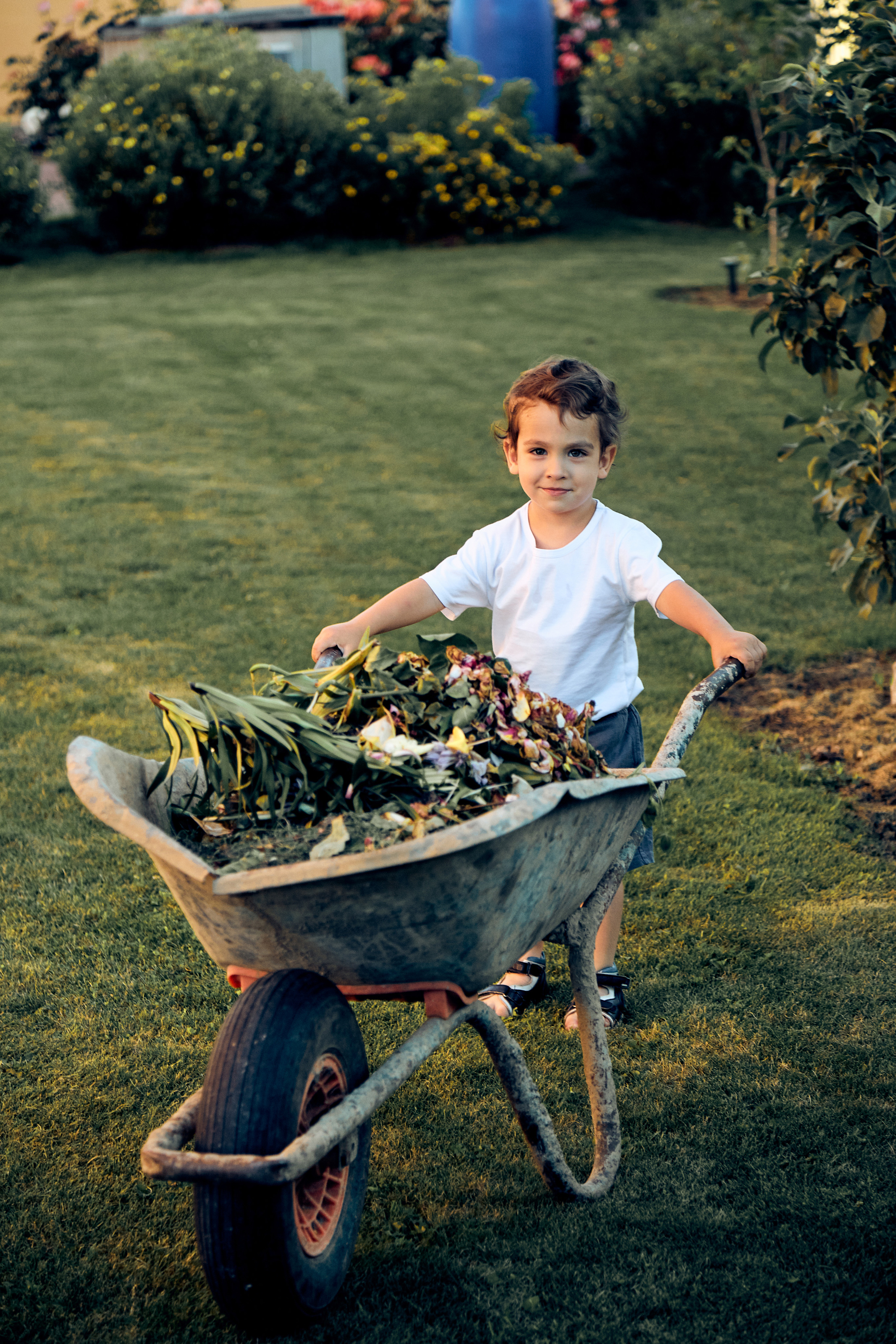 Солнечный вечер. Свадебный и семейный фотограф Наро-Фоминск, Москва