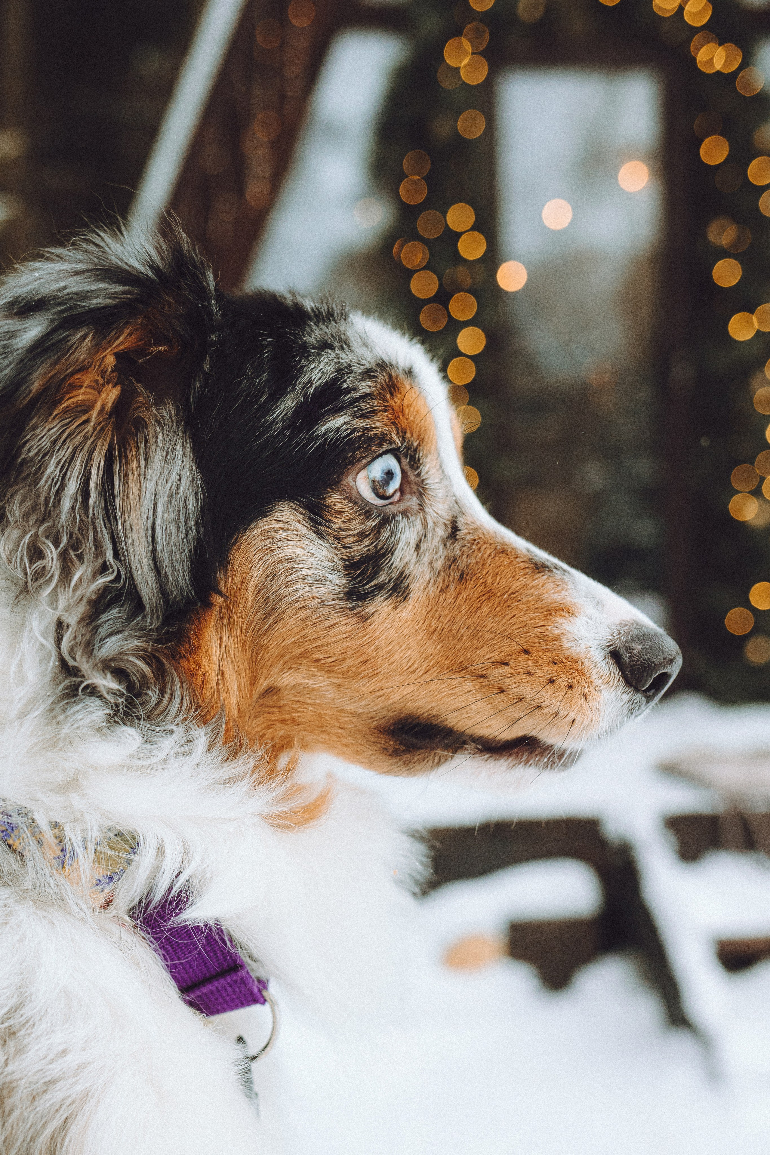 Фаня и ее семья