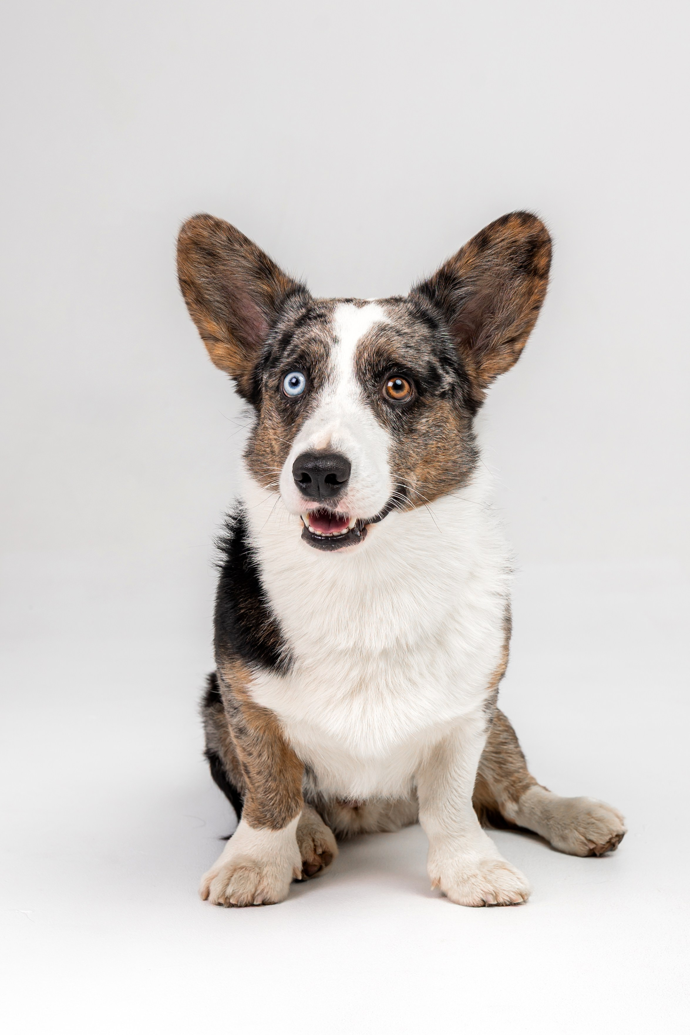 Анатолий и Рагнар