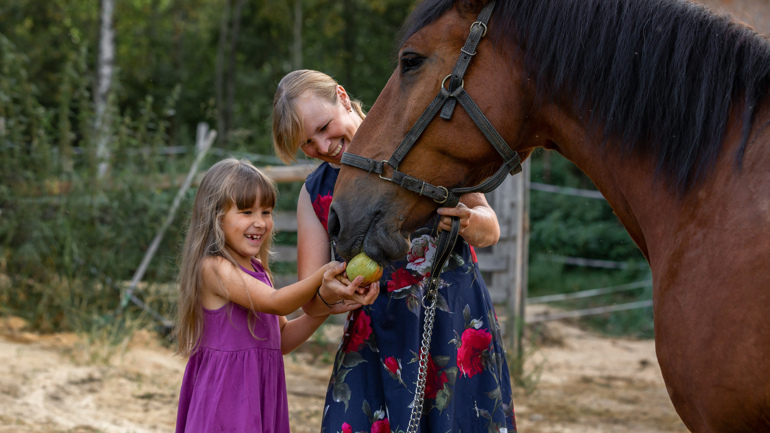 Мечта. Фотограф — путешественник Светлана Романовская