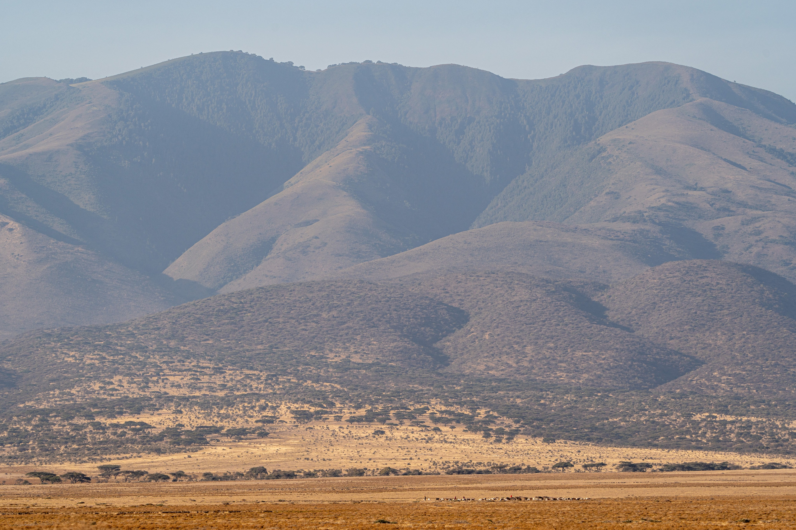 Танзания, сафари, 2025. Творческие сьемки