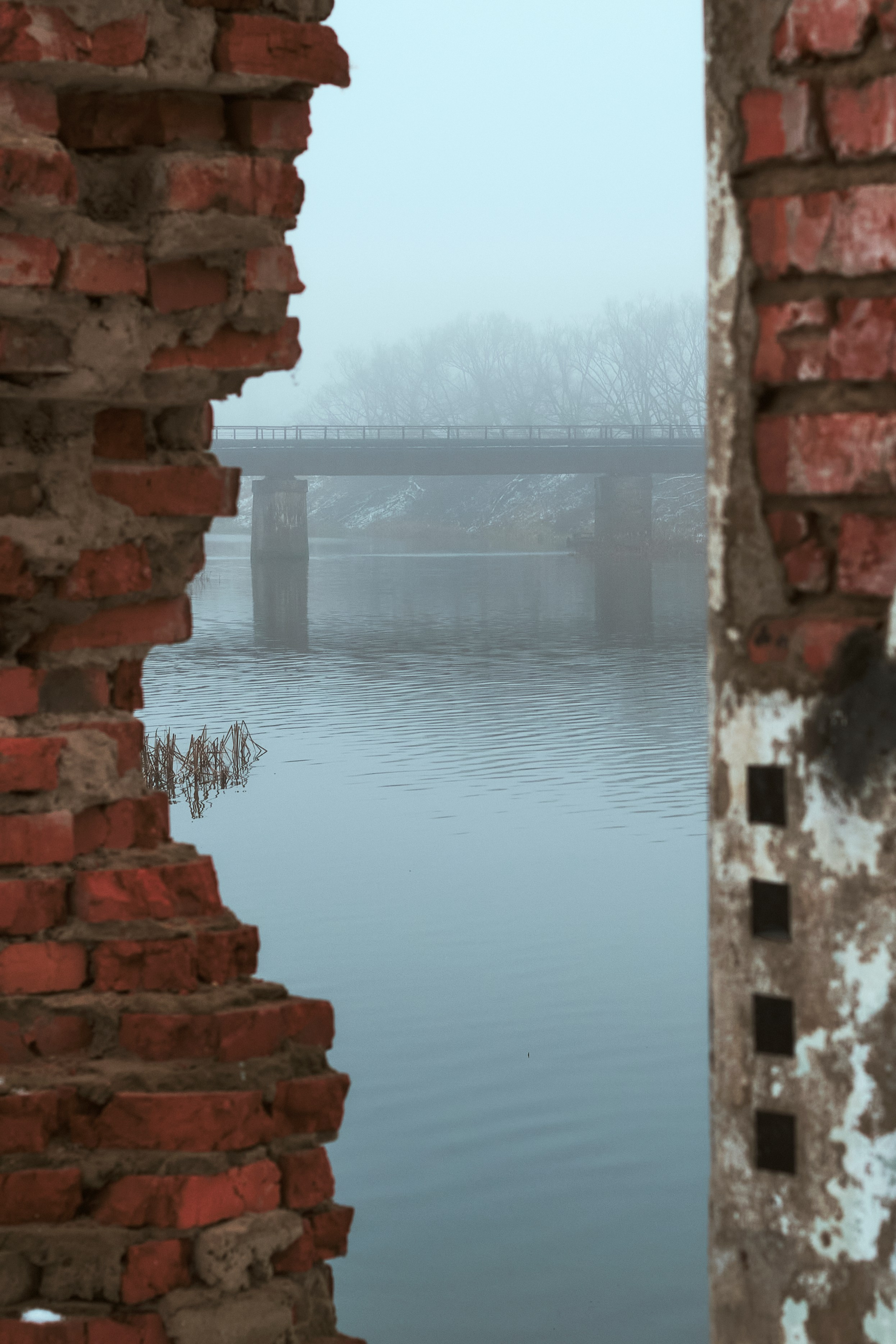 Съемкав туман. Фотограф для маркетплейсов в Иваново | Съемки одежды и белья