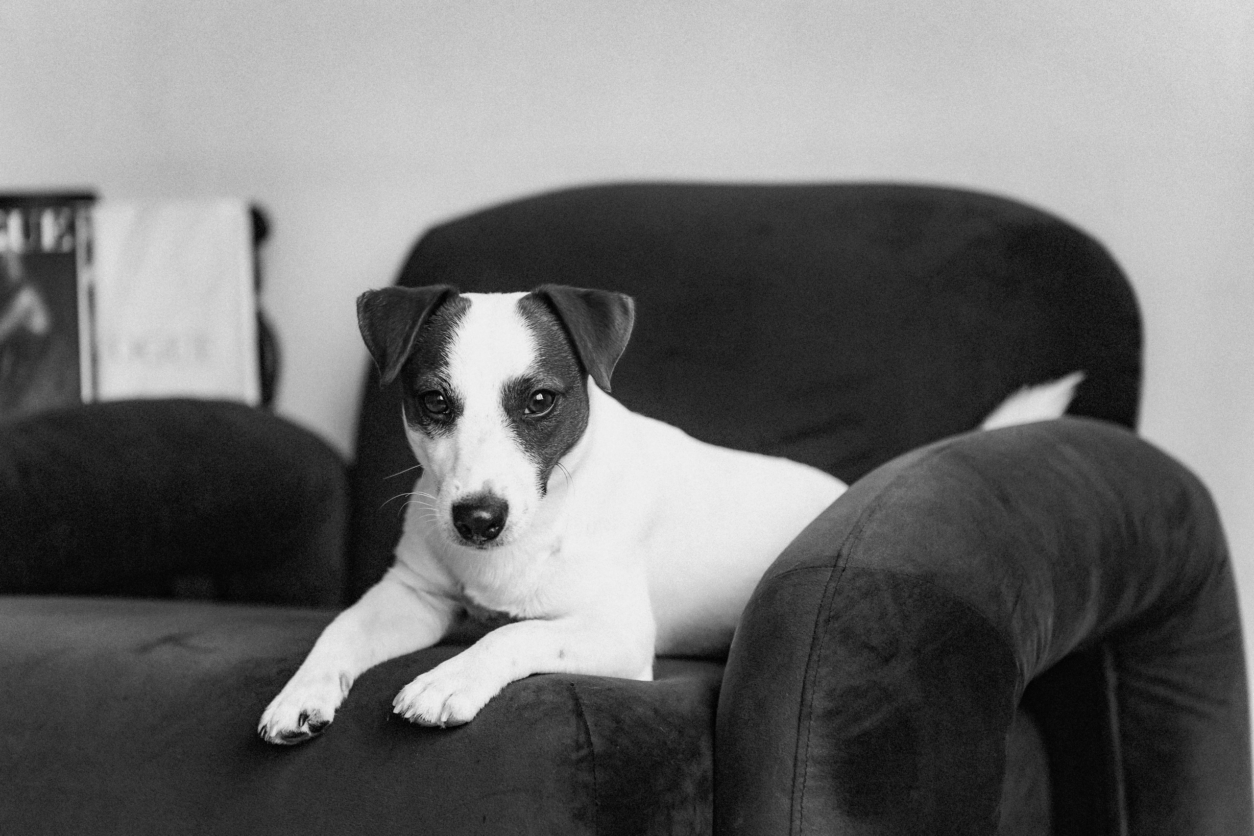 2024.03.24 Танюша, Руслан и Боба. Ирина Бешляга. Фотограф в Москве и по всей России