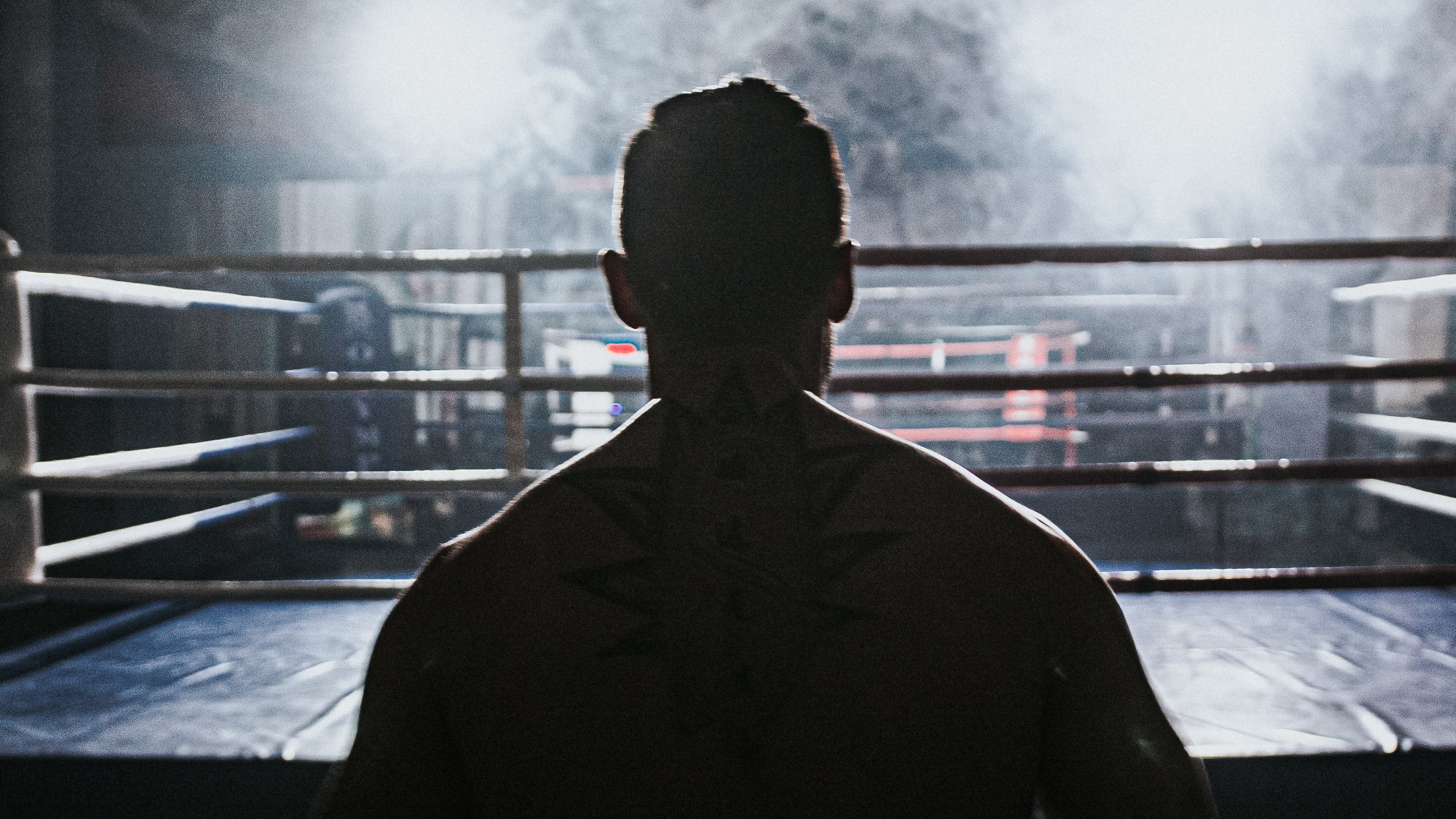 MF PROD. — BOX STAS. MOVIE FAMILY PRODUCTION