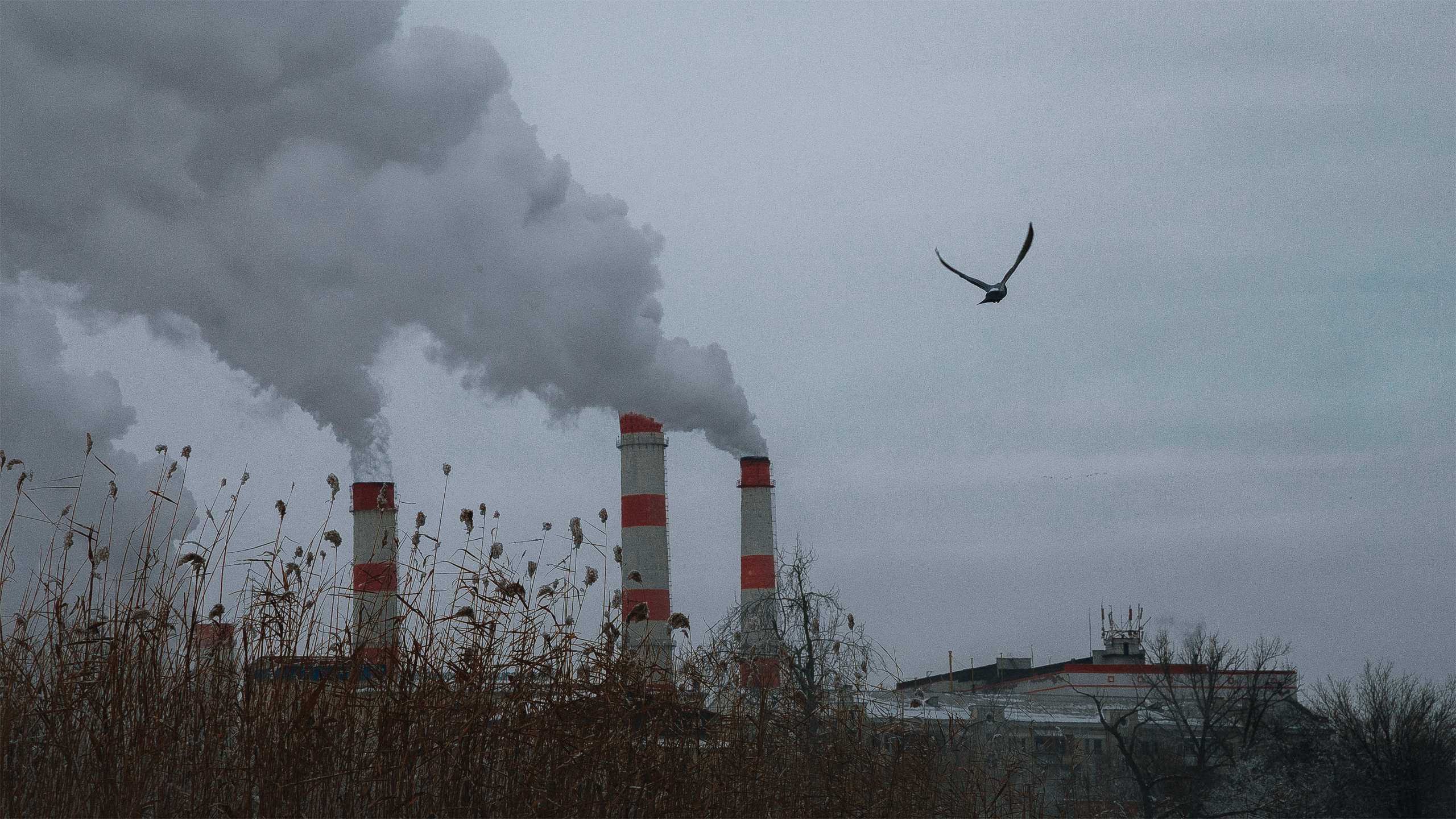 Пейзаж, проблемы экологии, электростанция, трубы, Краснодар, Россия, социальное фото