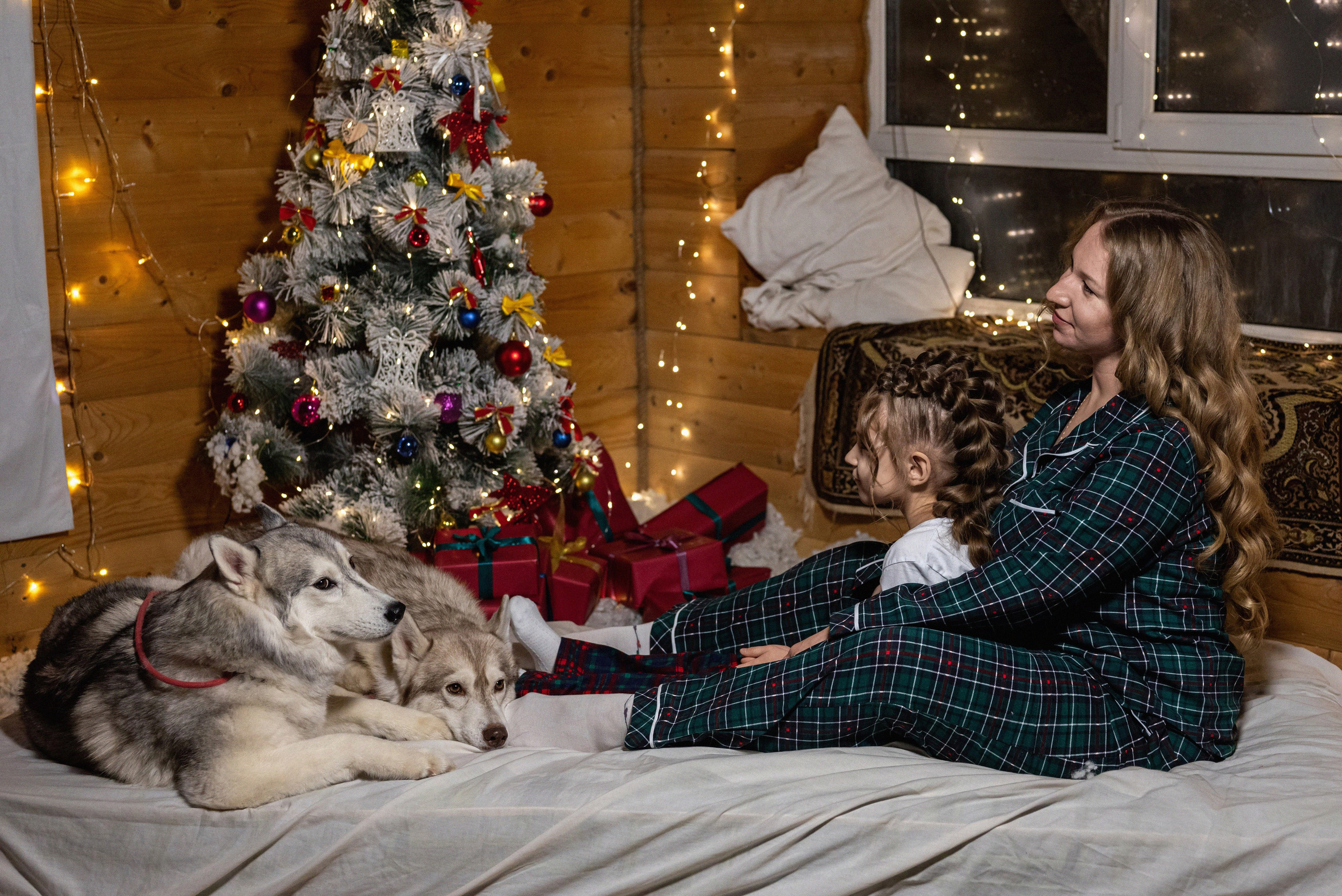 Фотопроект с хаски 2024 г. Фотограф в городе Салават