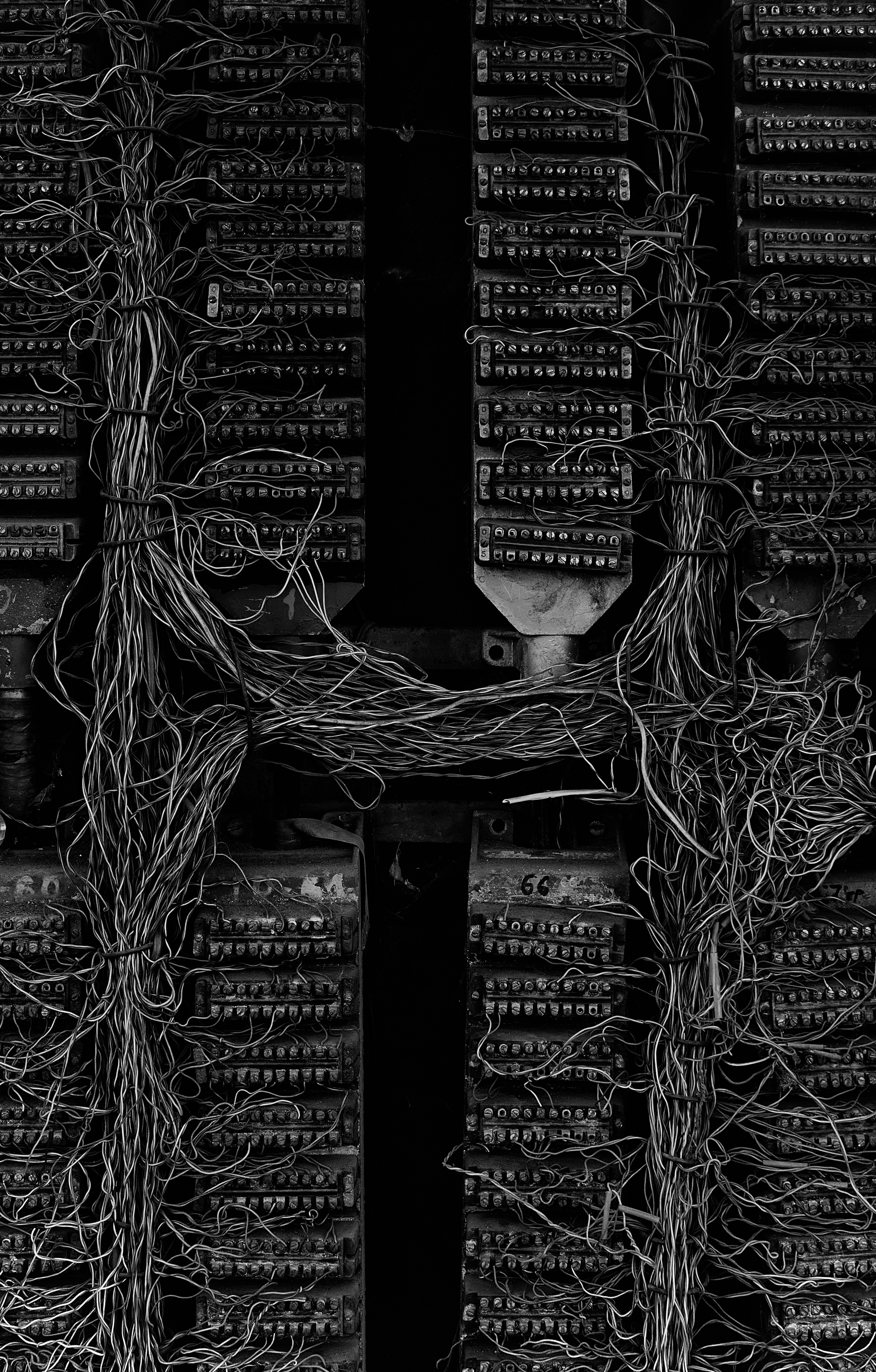 Orel. Фотограф Анастасия Якимова