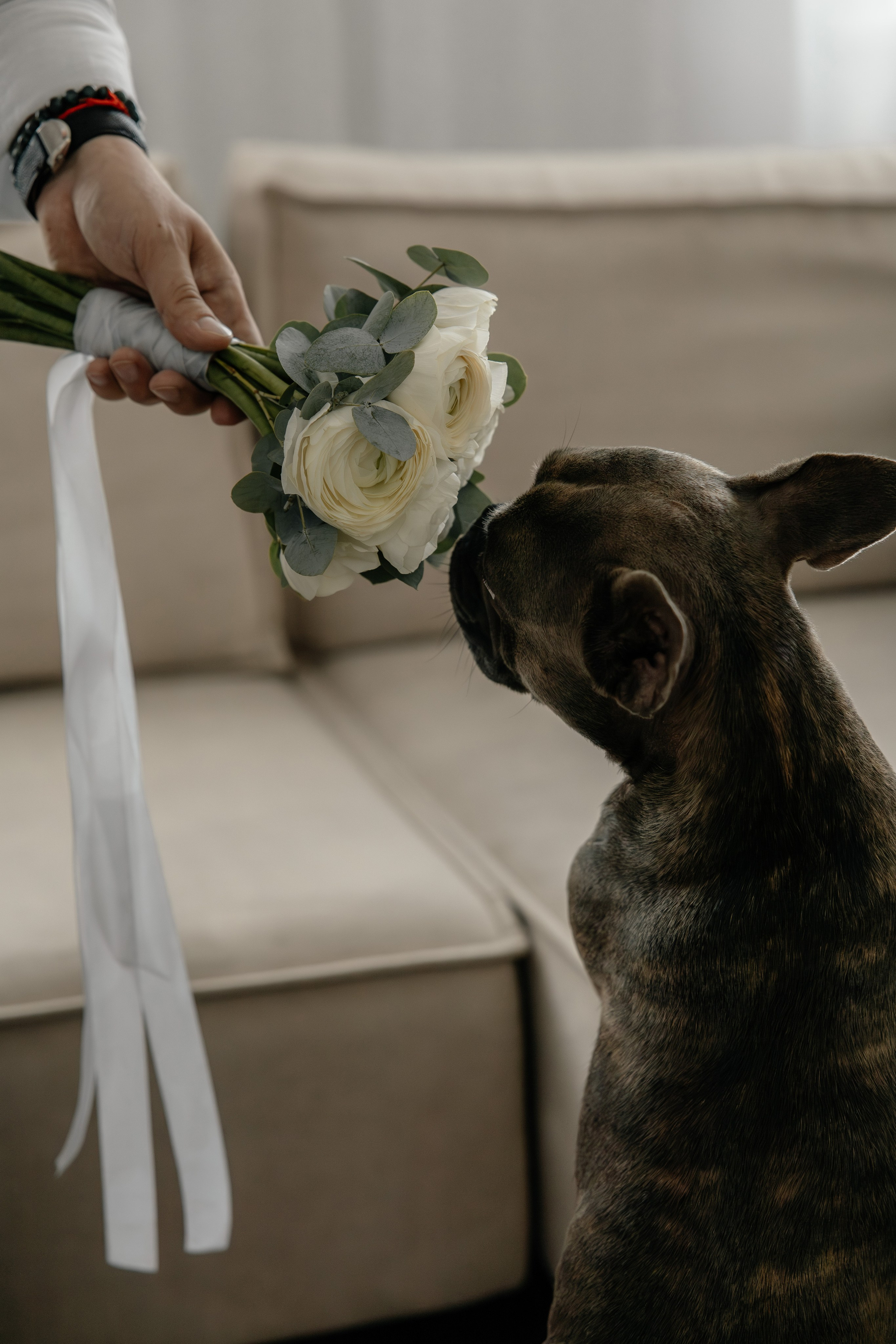 Никита&Светлана. Фотограф Арина Елизарова