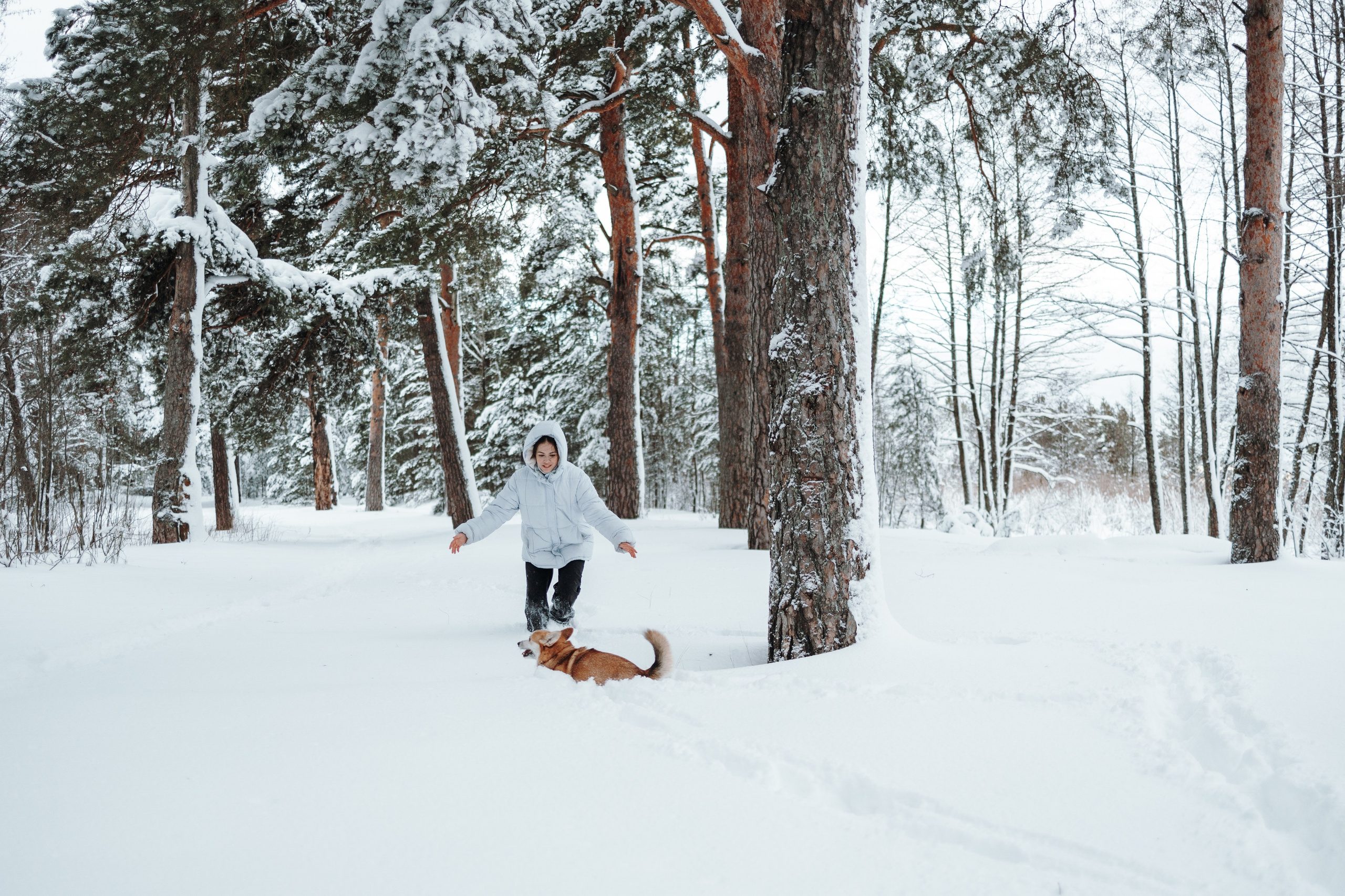 Оливка и ее семья. Фотограф — Анималист | Санкт-Петербург