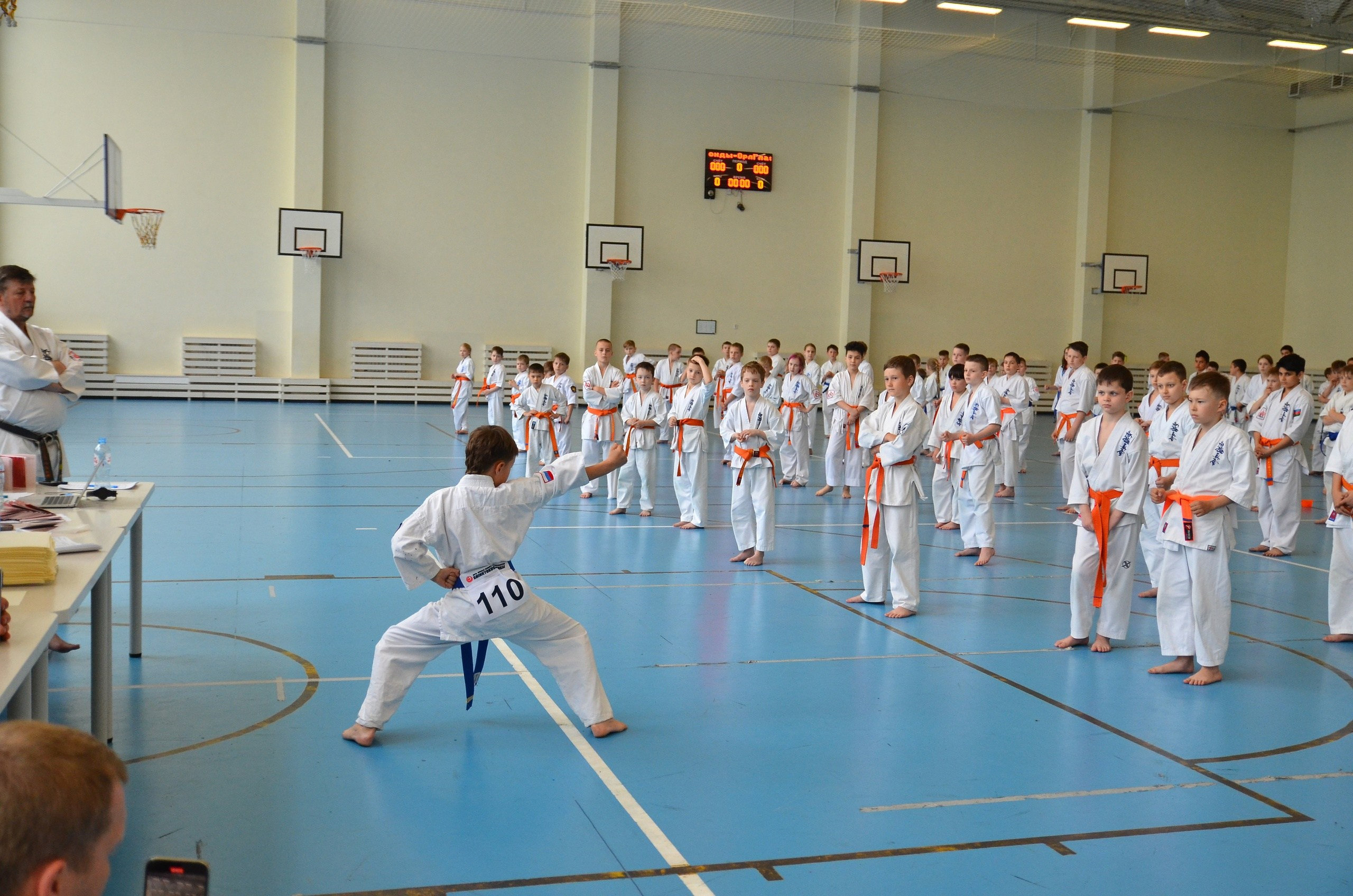 Соревнование по карате. Фотограф анималист, пейзажист, спортивные мероприятия. Новосибирск