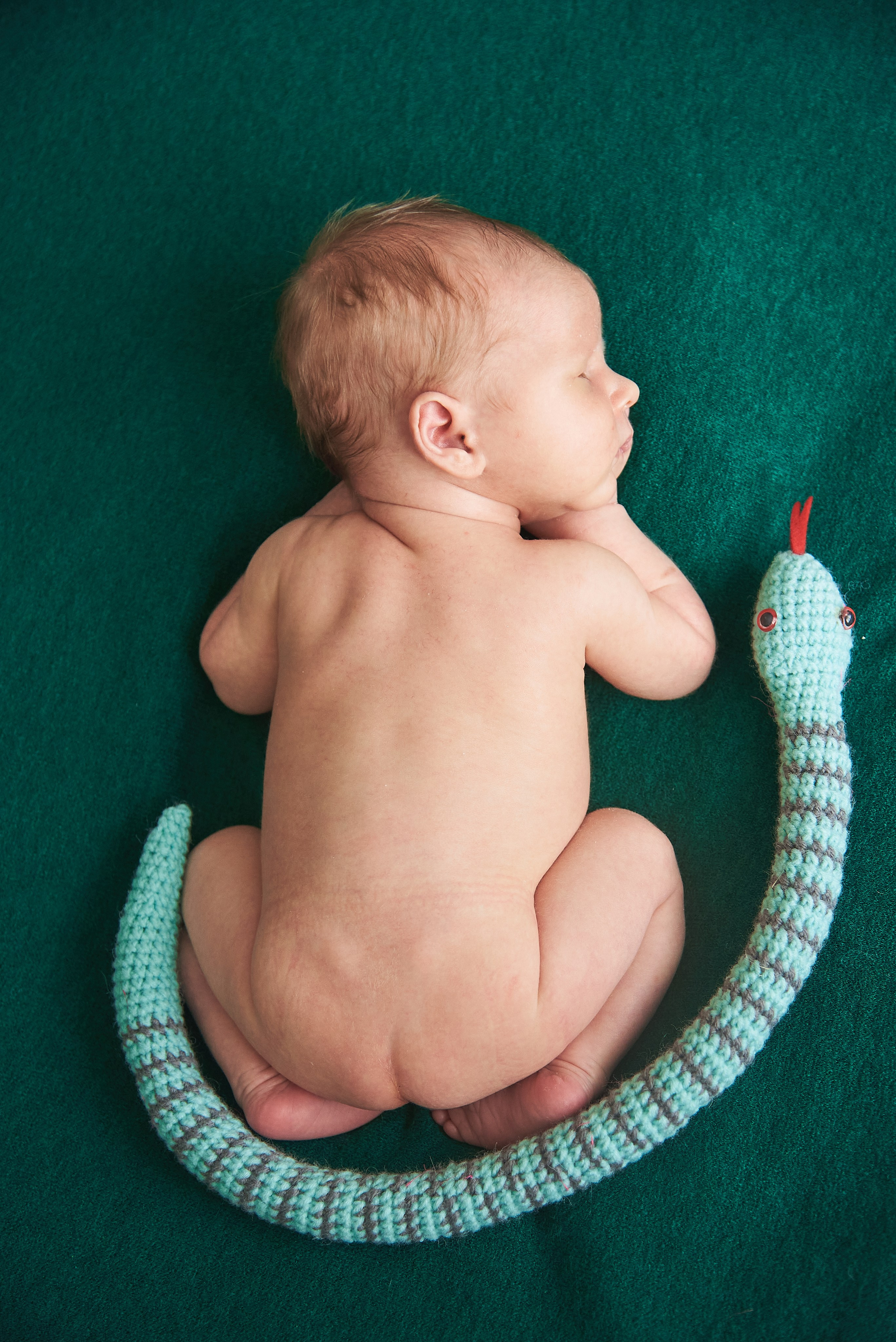 Новорожденные. Фотограф Юлия Ремезова