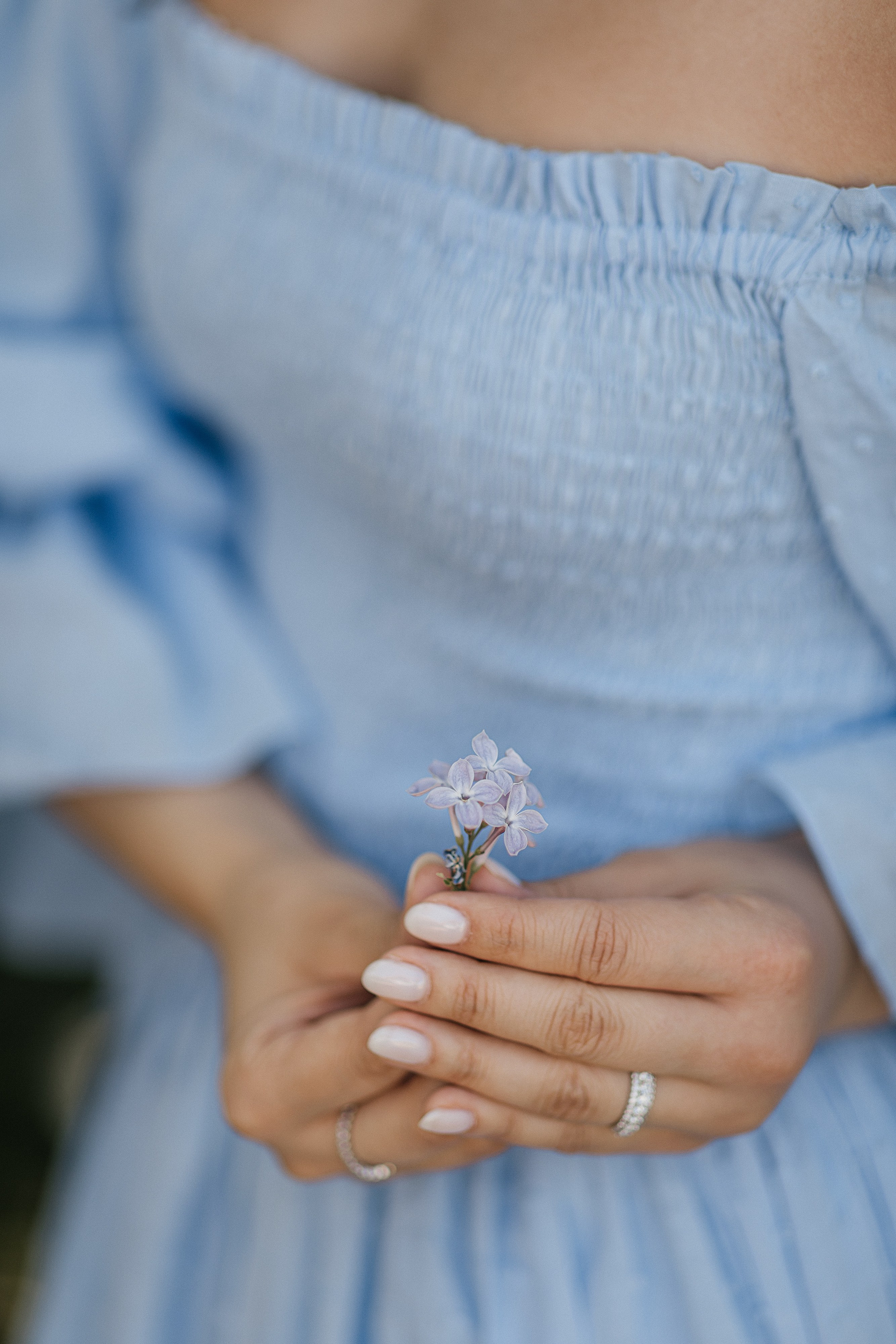 Сирень Азиза. Фотограф Москва