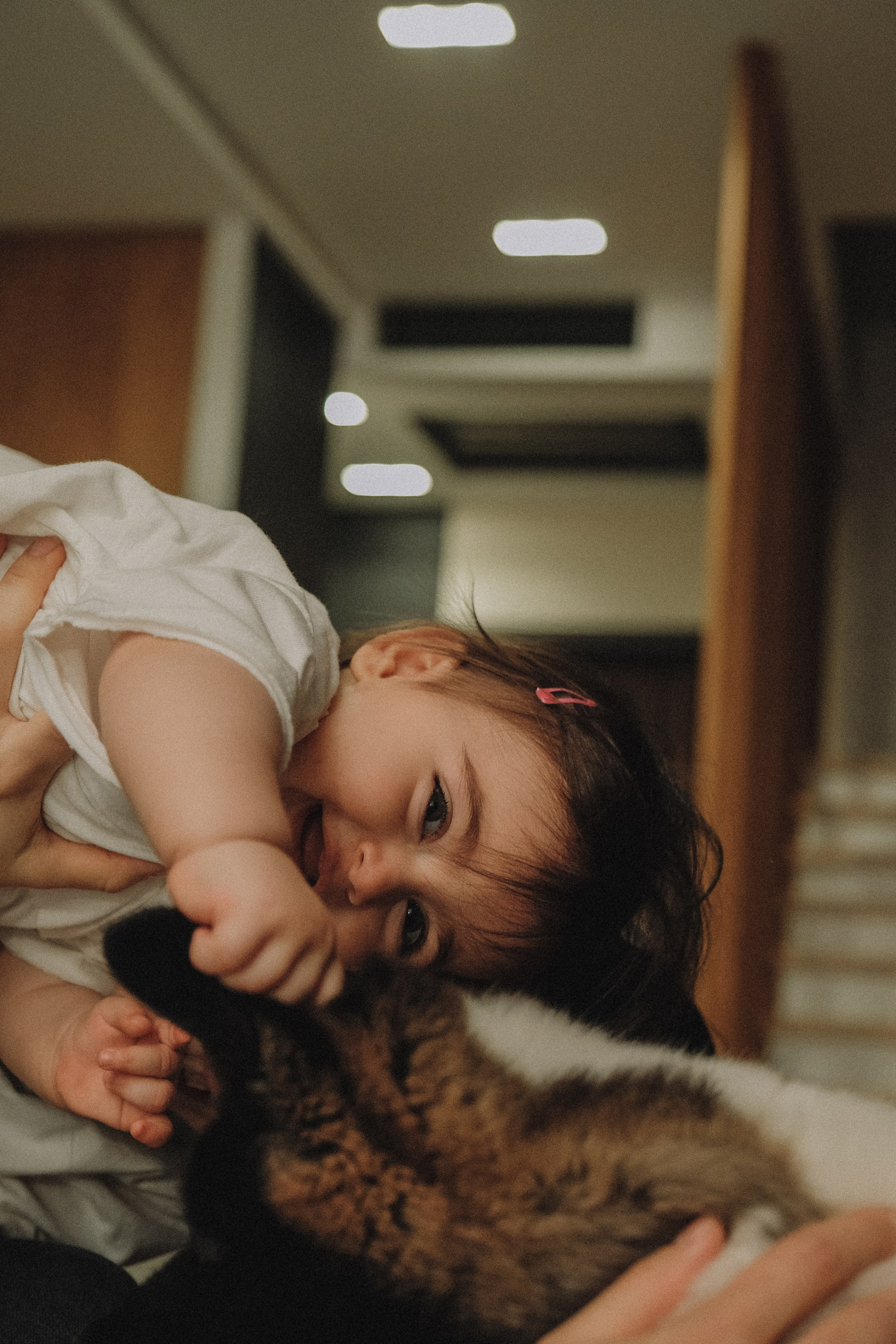 Семья Ани. Семейный фотограф Москва