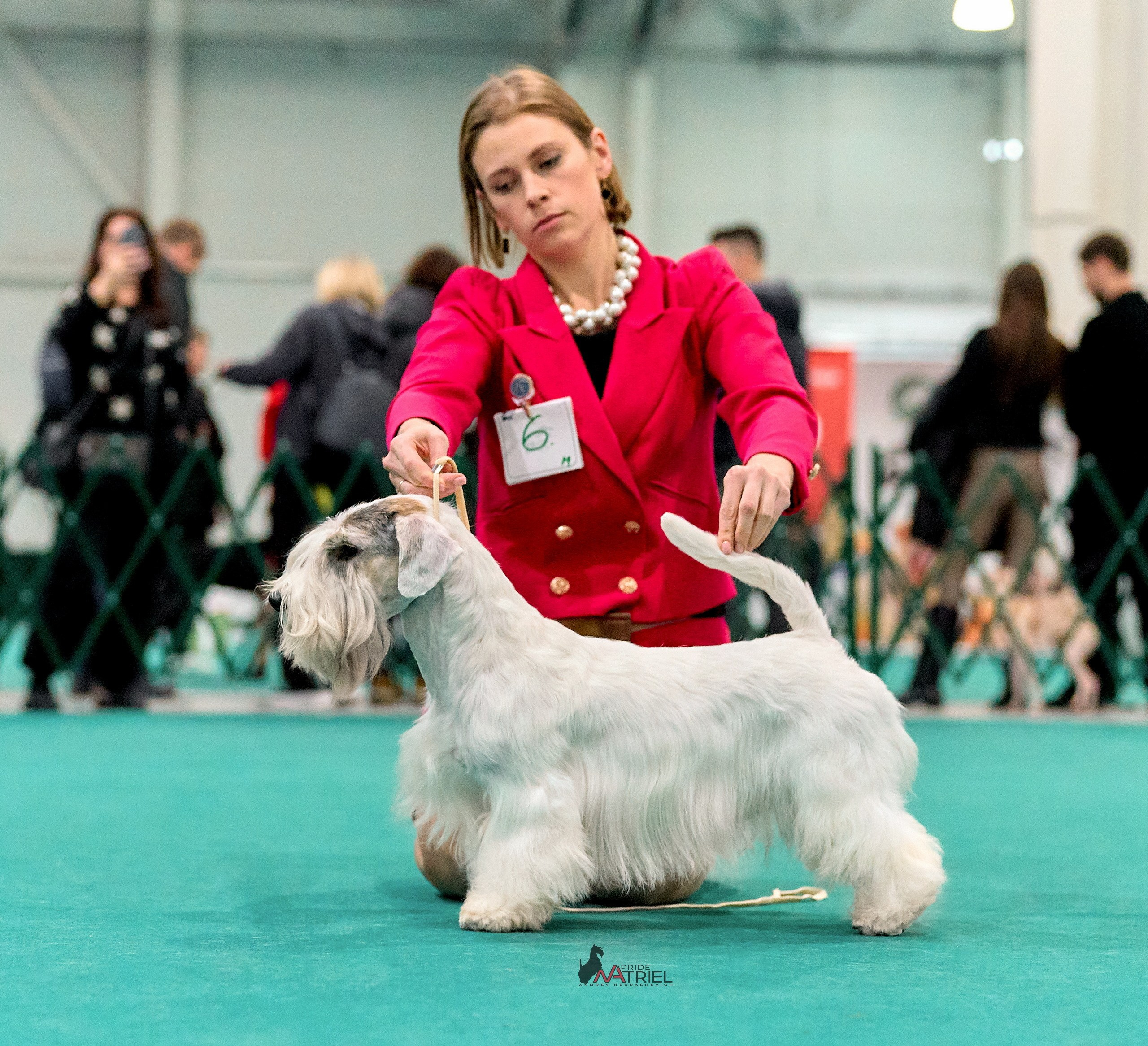 Работа в рингах — галерея NATRIEL