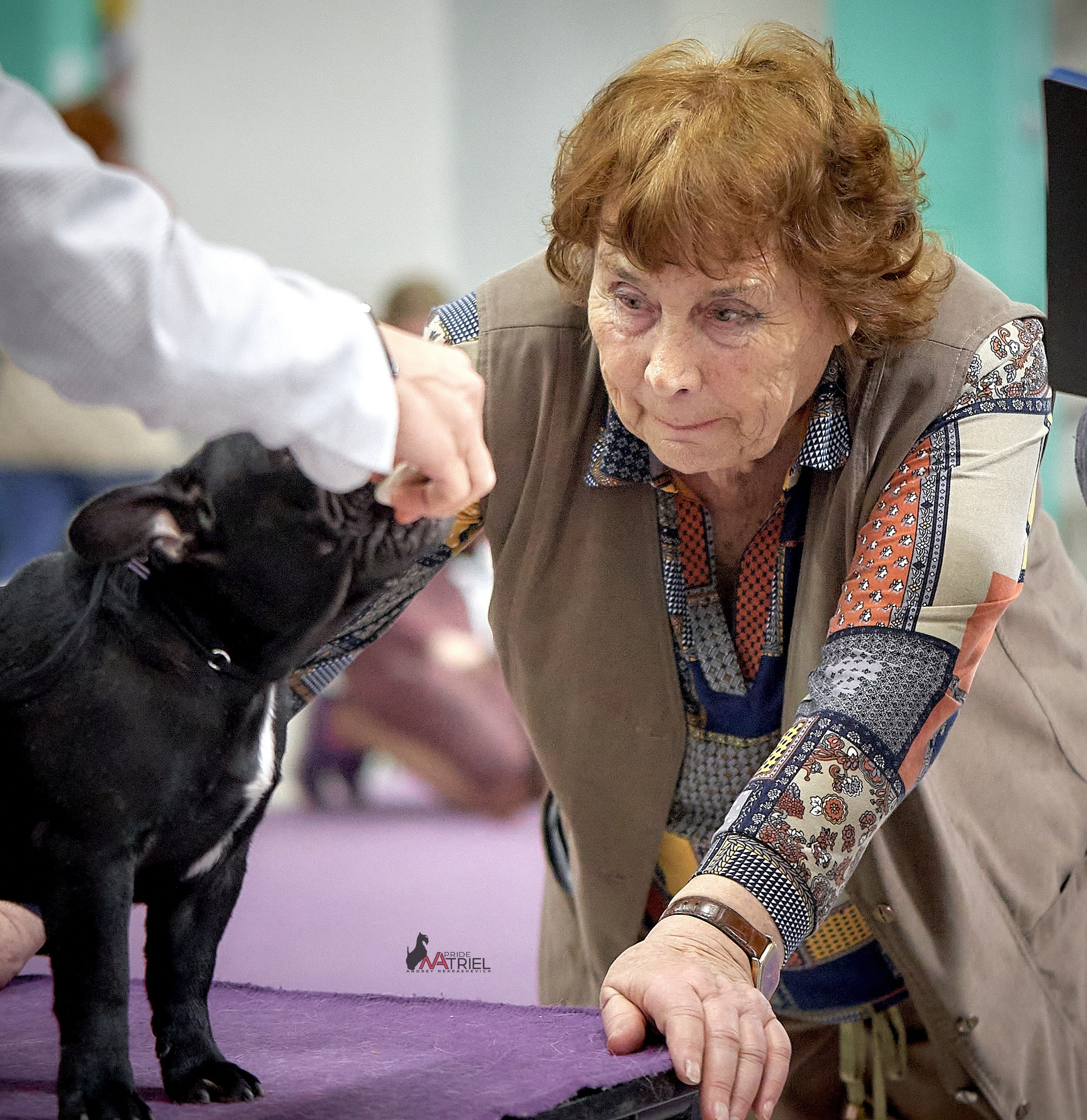 Работа в рингах — галерея NATRIEL