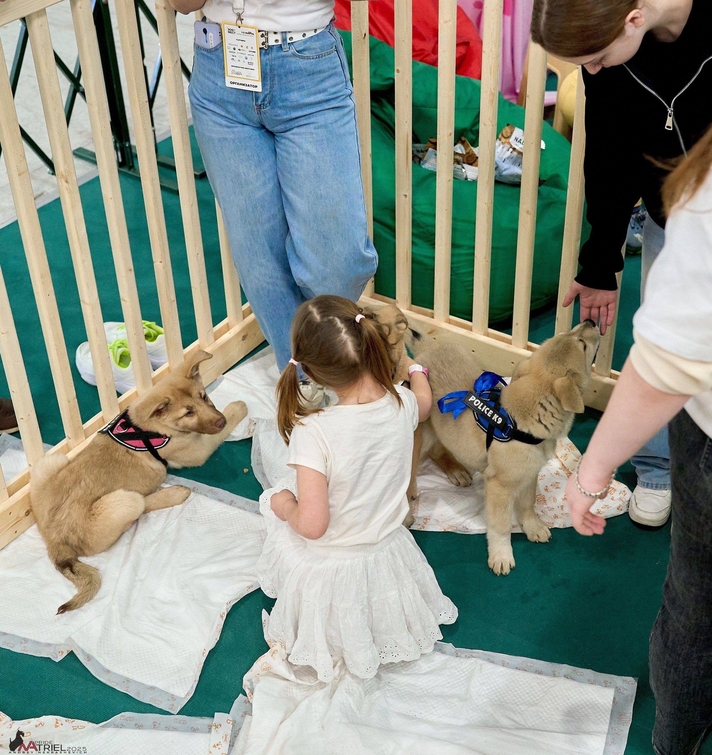 Репортаж с ЗООФЕСТ в Крокусе