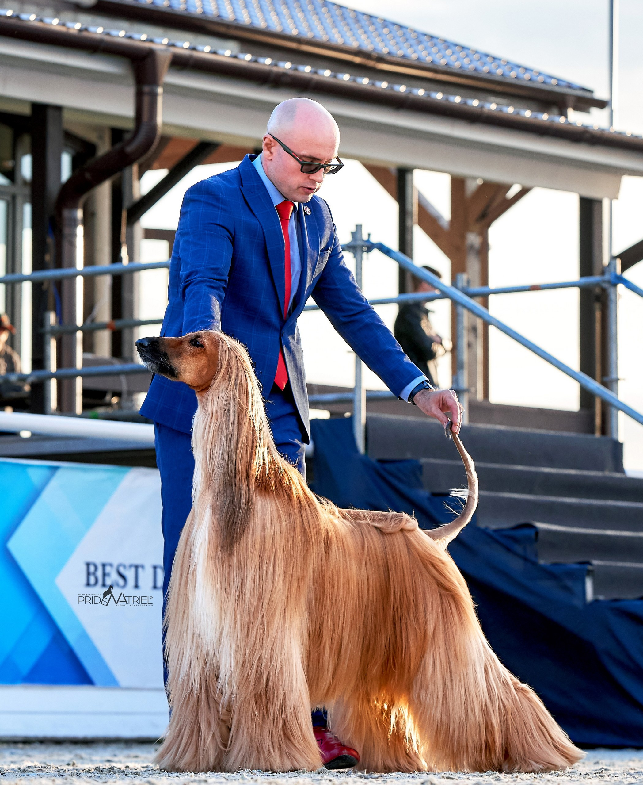 Работа в рингах — галерея NATRIEL