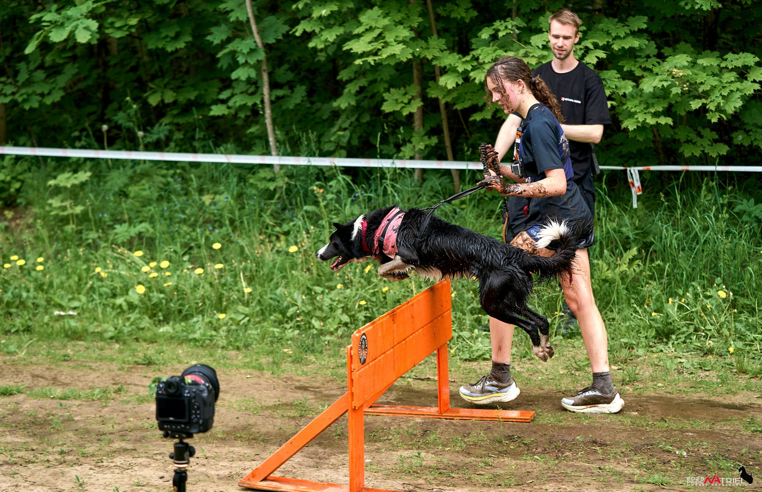 Russian Extreme Dog Trail — 2025