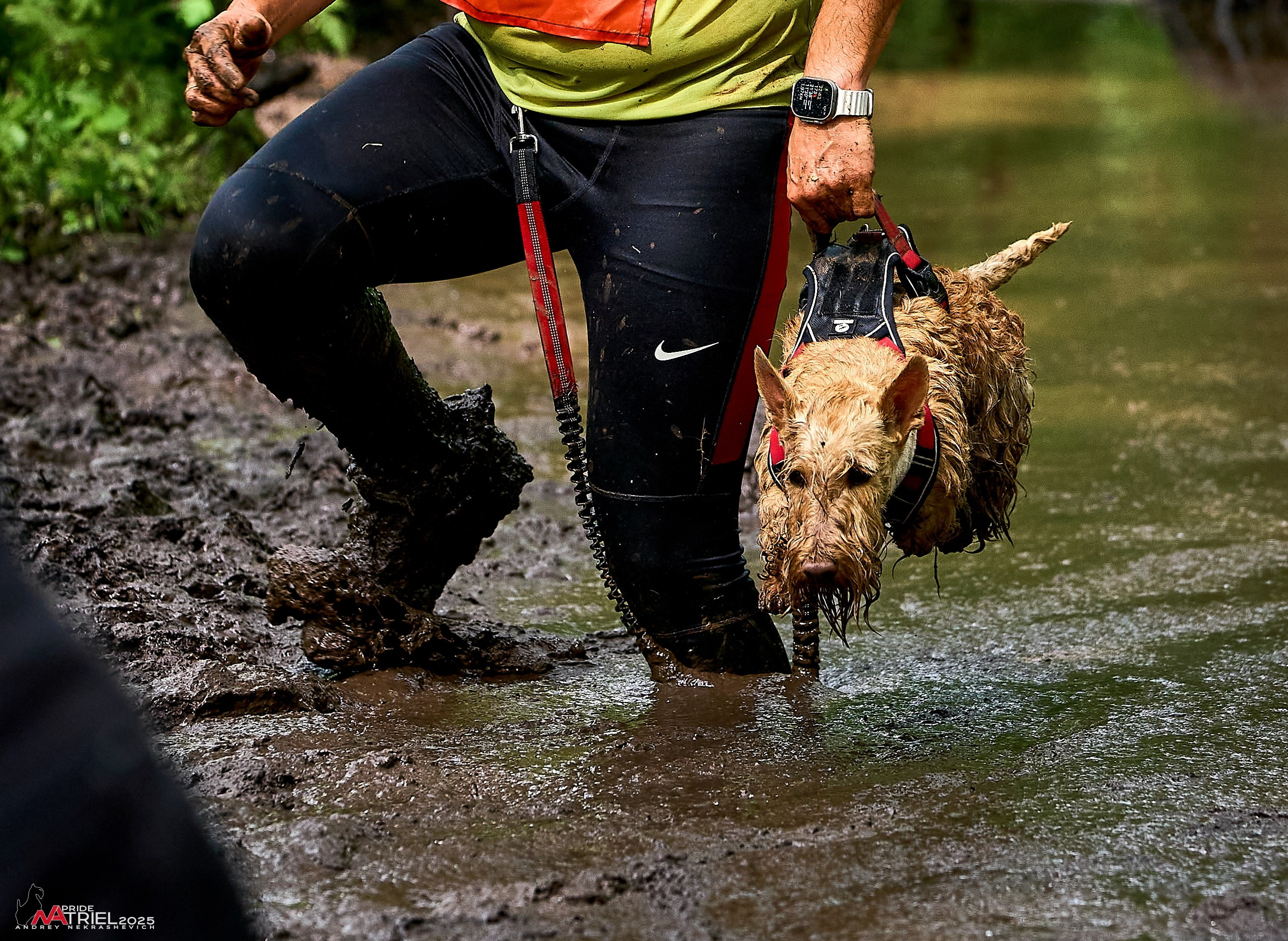 Russian Extreme Dog Trail — 2025