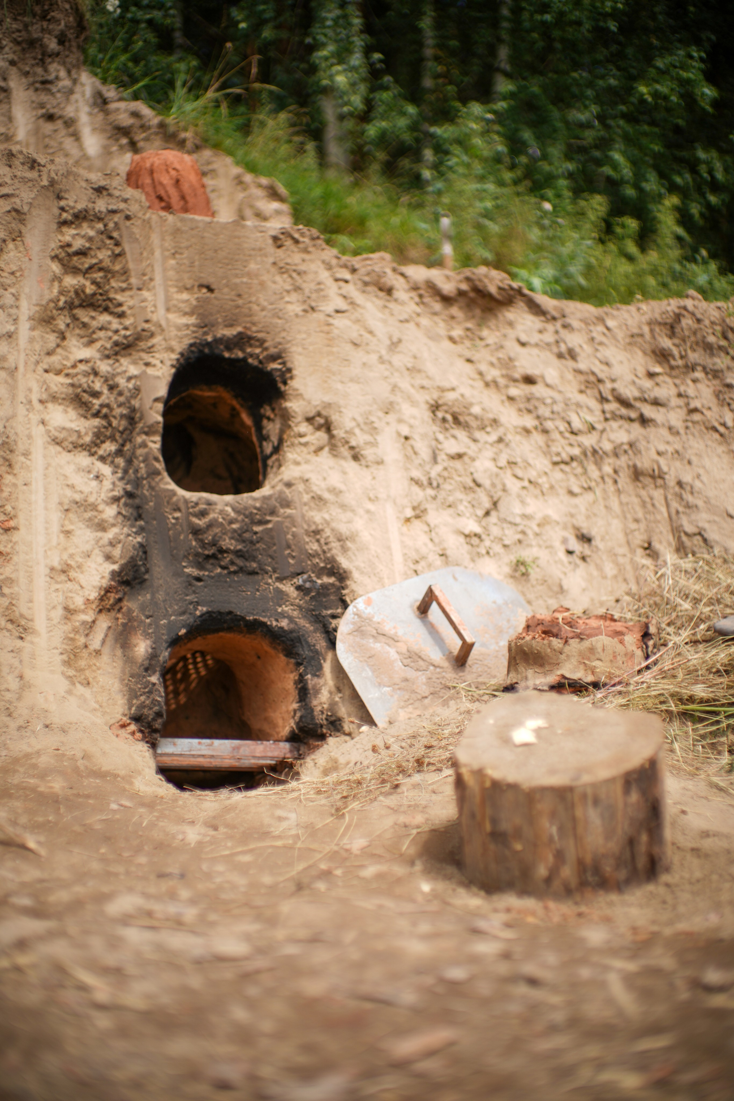 Wild fire 2024 — Дикий огонь 2024