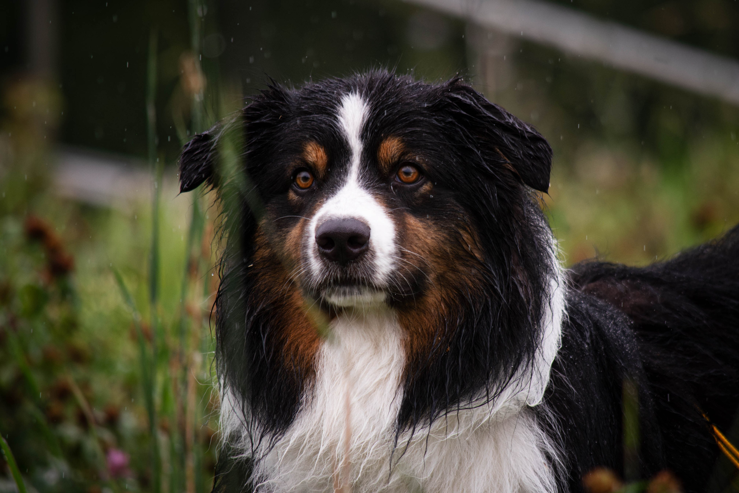 Прогулка в парке Митино. Фотограф Светлана Блинова, Москва и Московская область