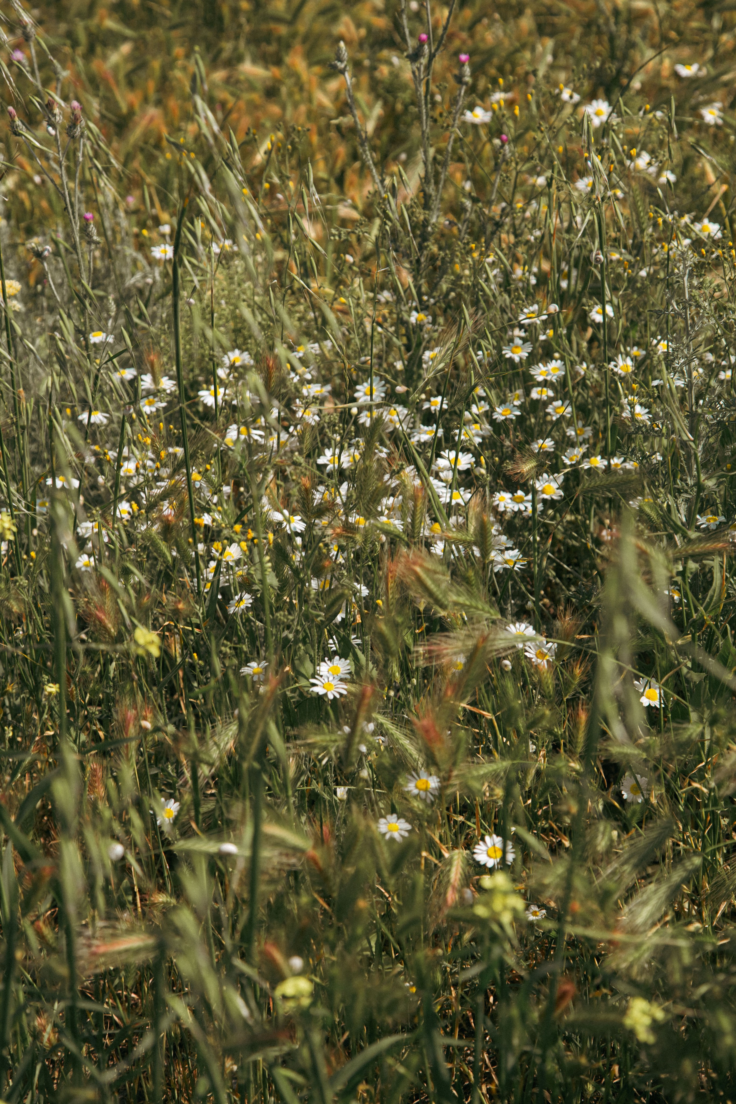 Новый Хушет. Dmitriy [KCCC] is a pretty cool photographer