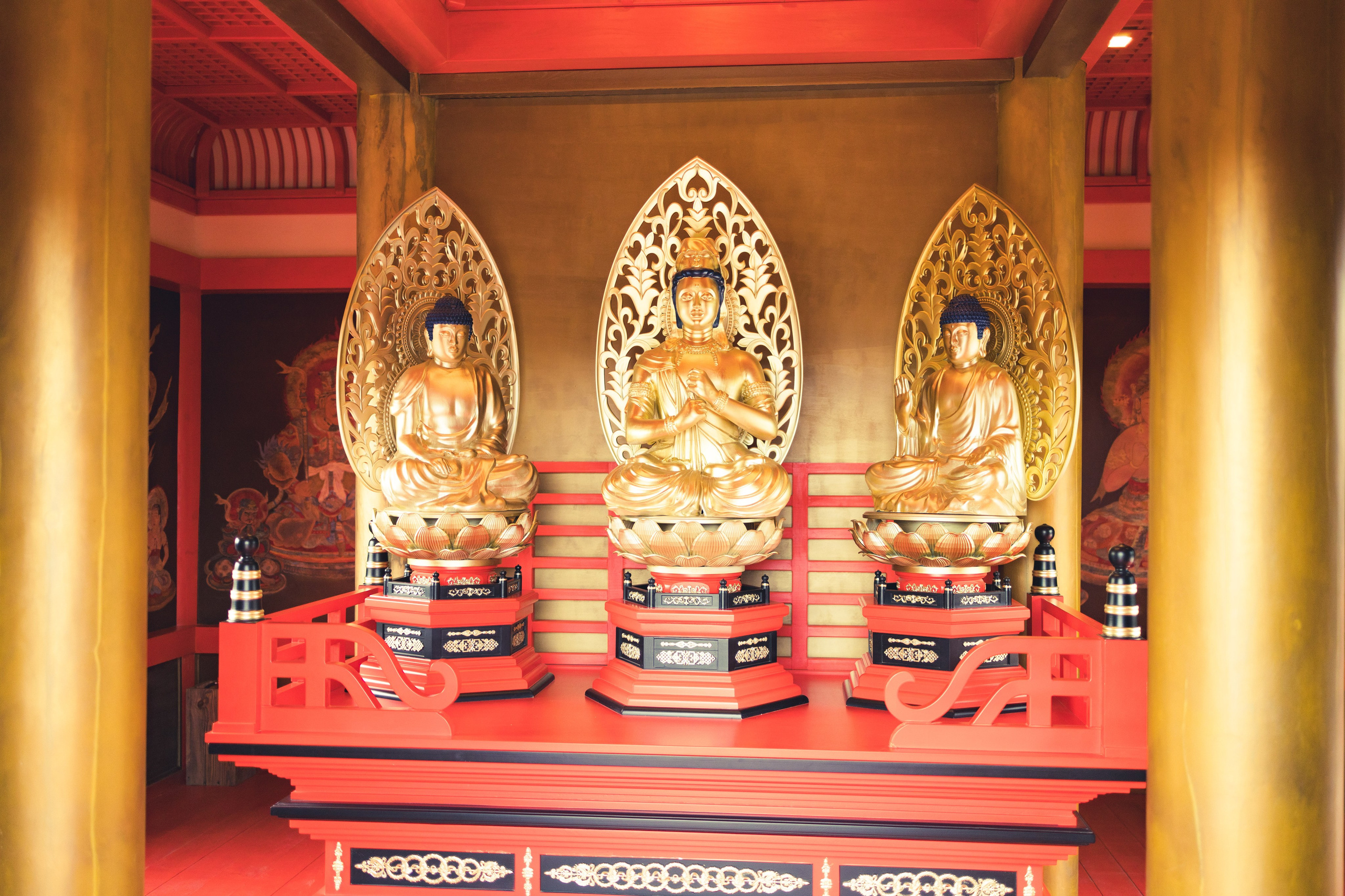 Японский сад в Краснодаре. Профессиональный фотограф и видеооператор