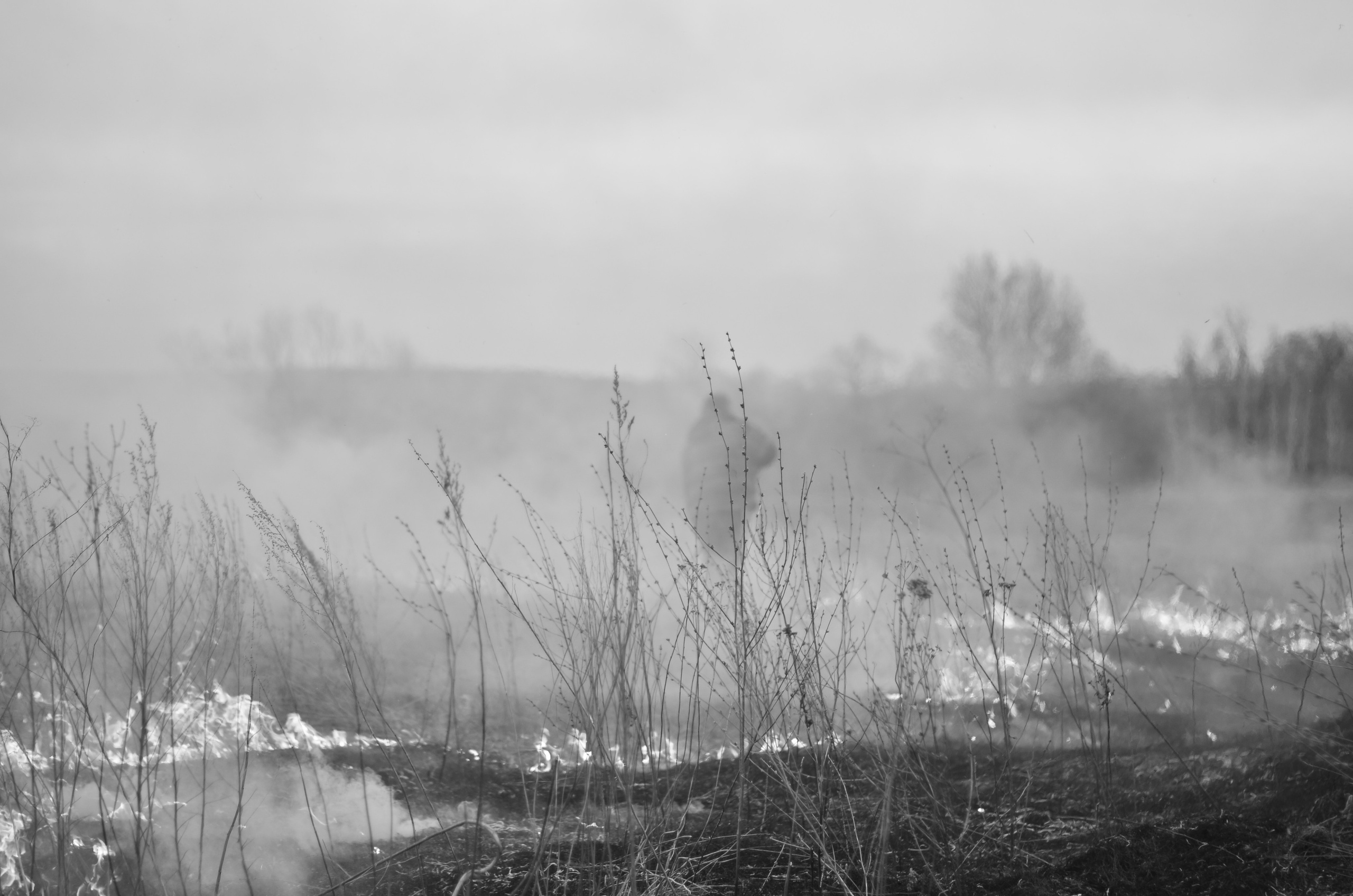 Пожары. Анна Хвалина