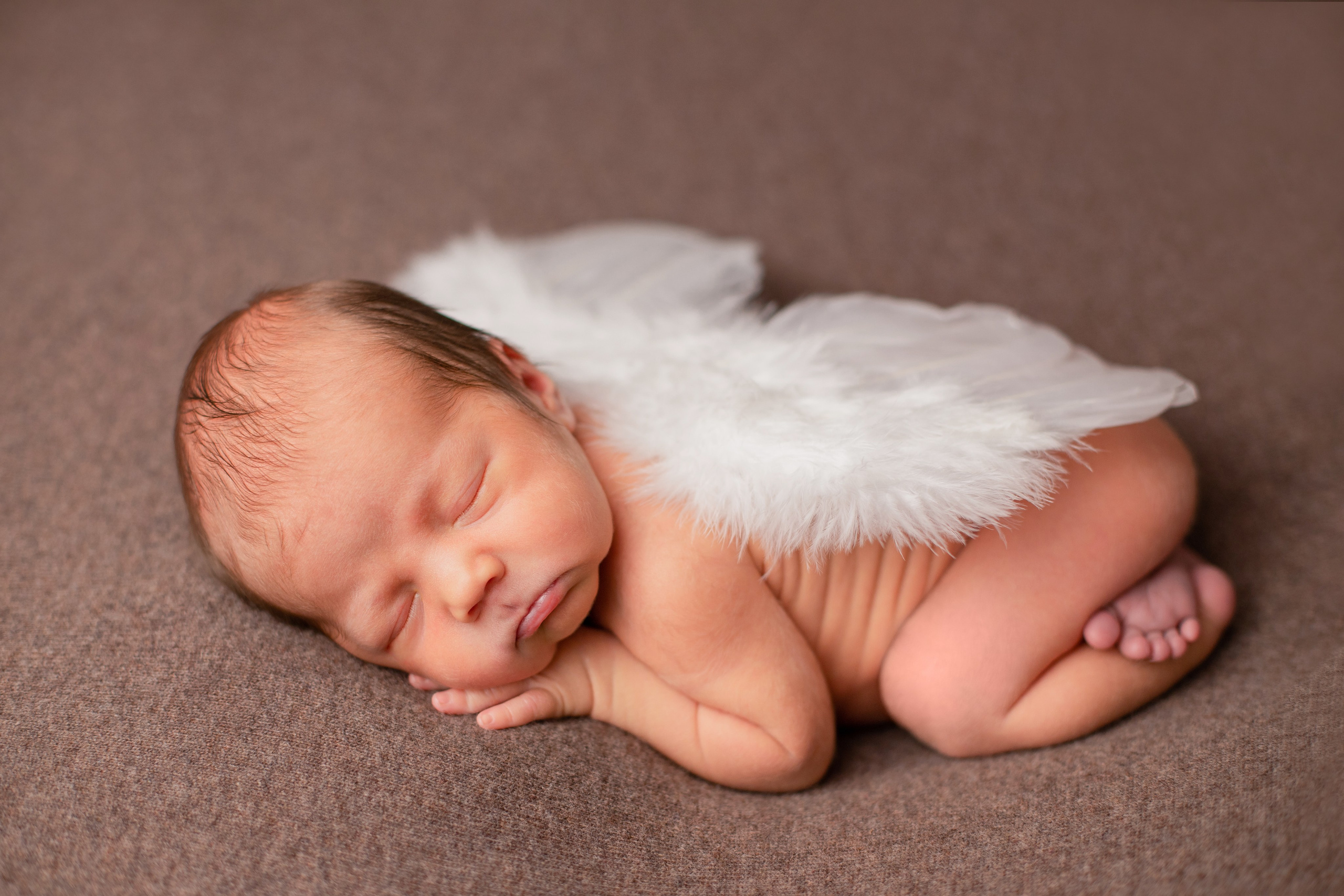 Малыш Максимильян (13 дней). Фотограф в Северском районе| г. Краснодар Алена Заливчая