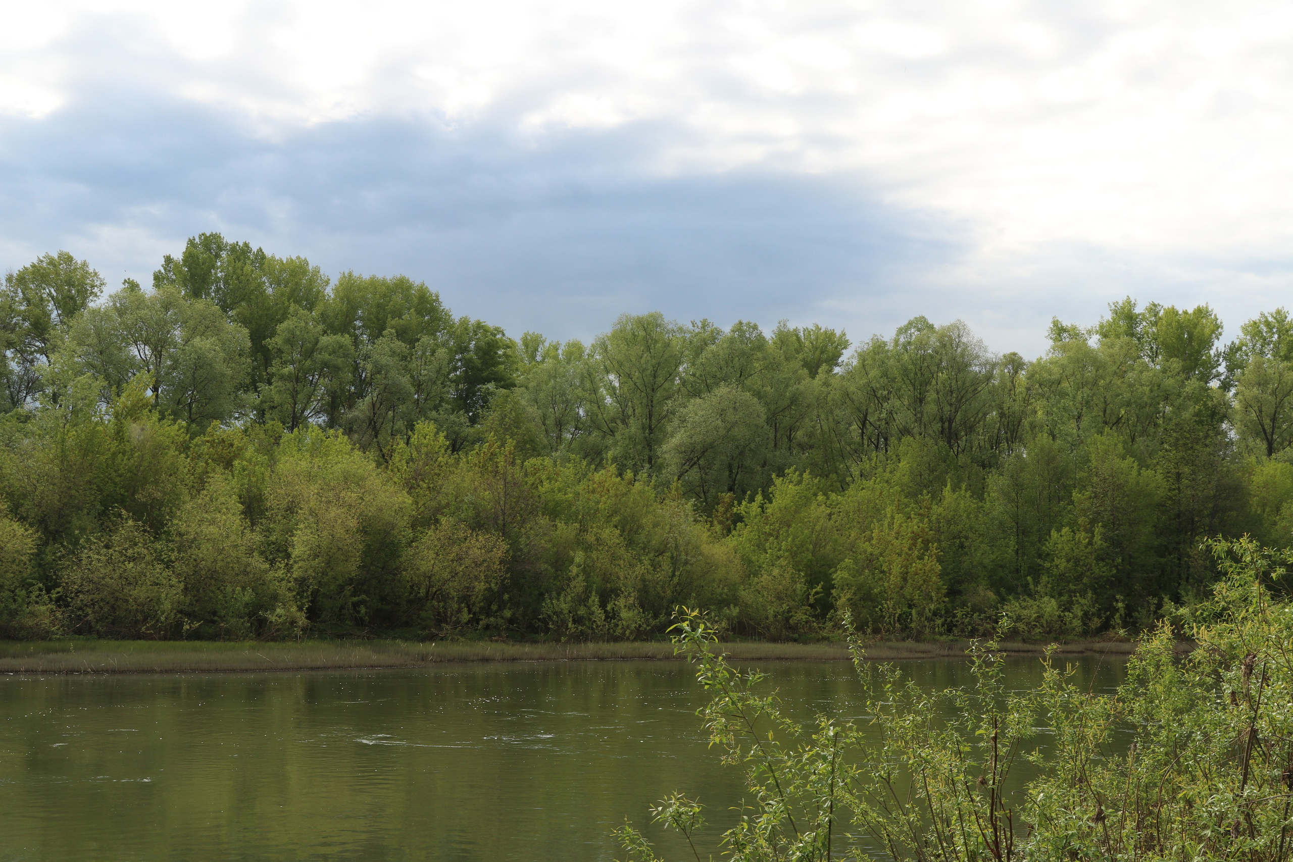 Велопоход Уфа — Мелеуз. Май 2024. Путешественник-фотограф из Санкт-Петербурга Татьяна Свистулина