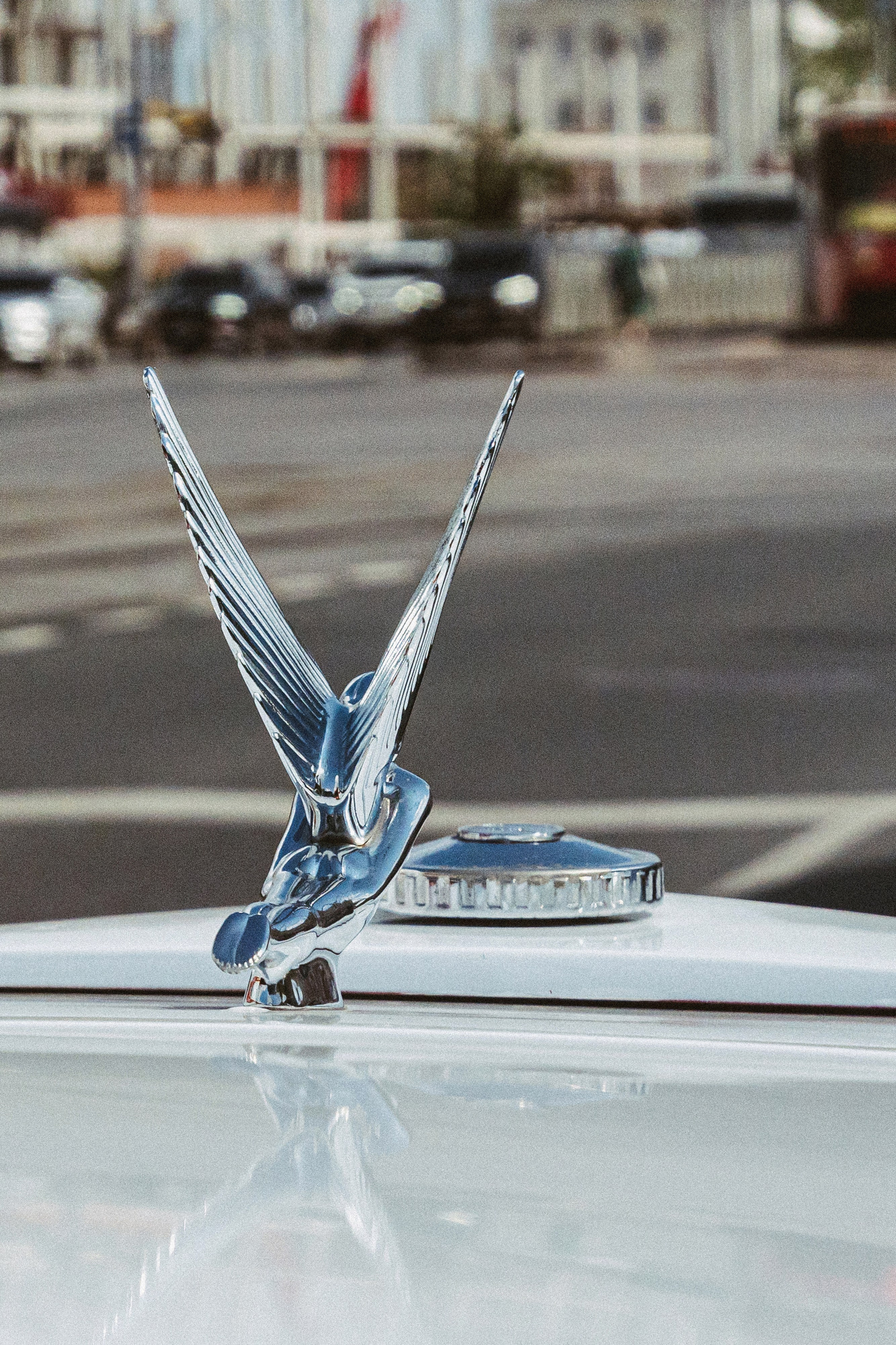 В&B Прогулка + ЗАГС. Свадебный, репортажный, семейный фотограф Елена Брюхова