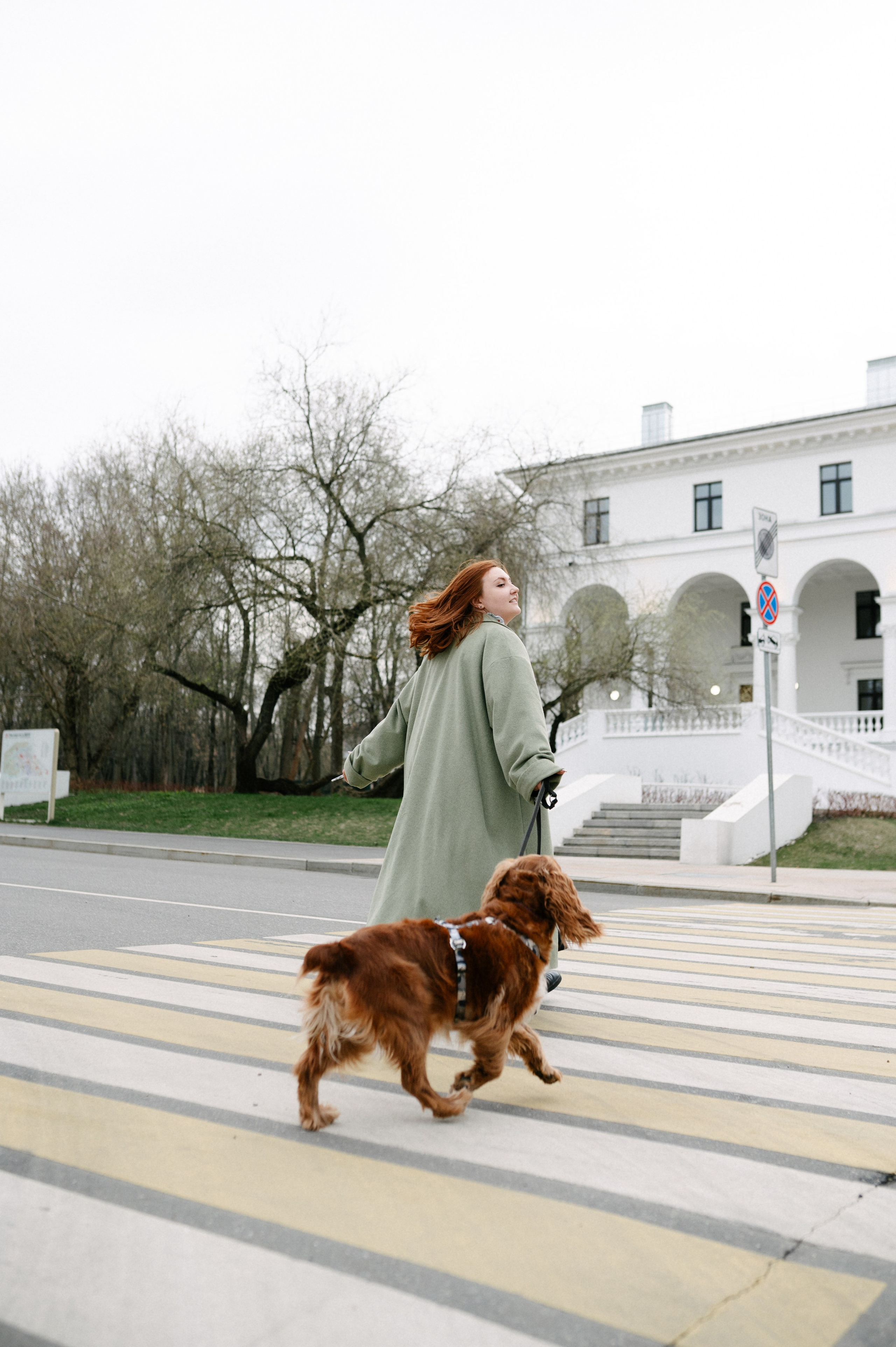 Рыжая команда. Фотограф анималист в Москве Ольга Агушева