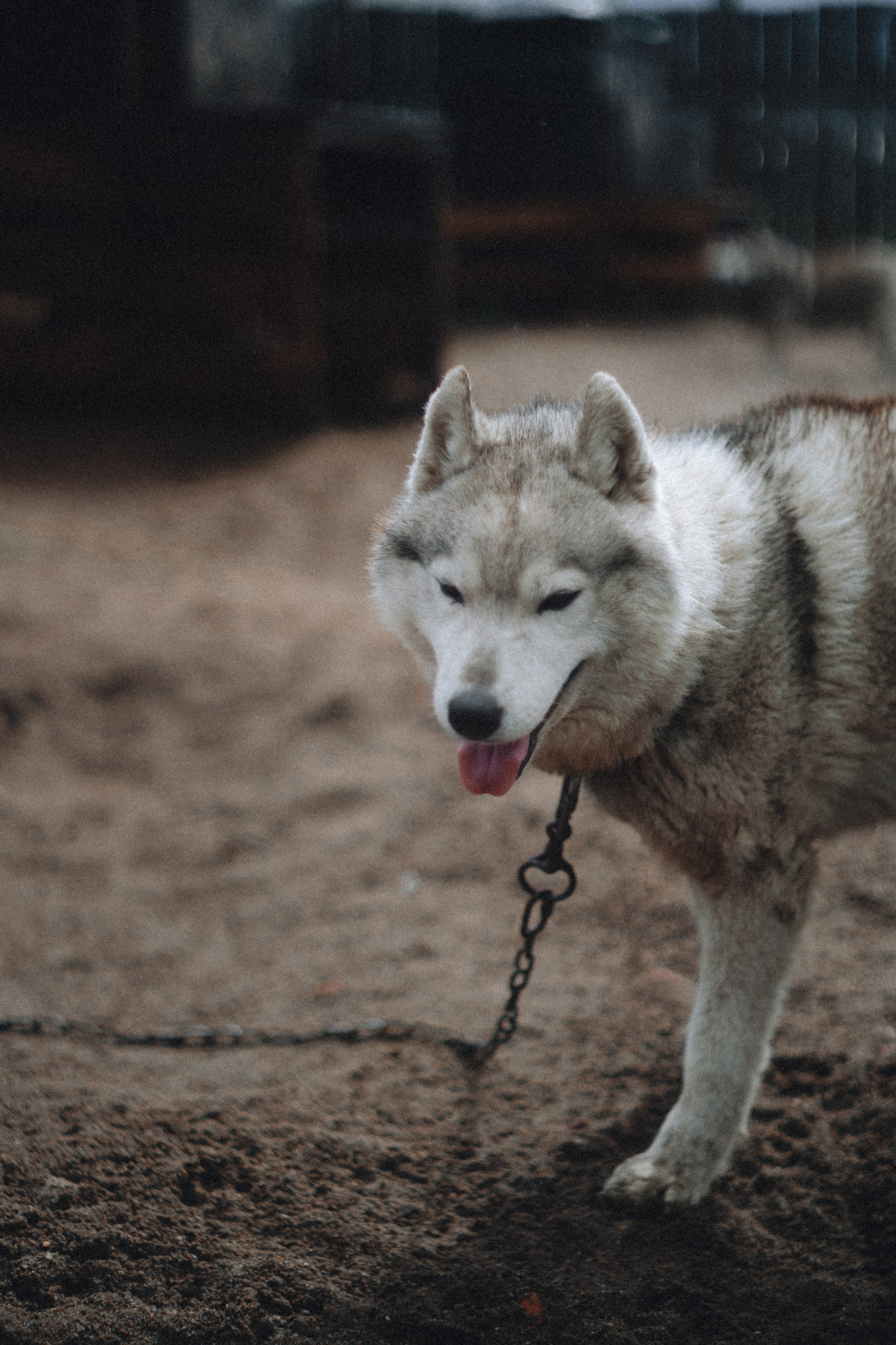 Териберка, Мурманск. Фотосъёмка для компании по организации туров в коллаборации с Яндекс 360