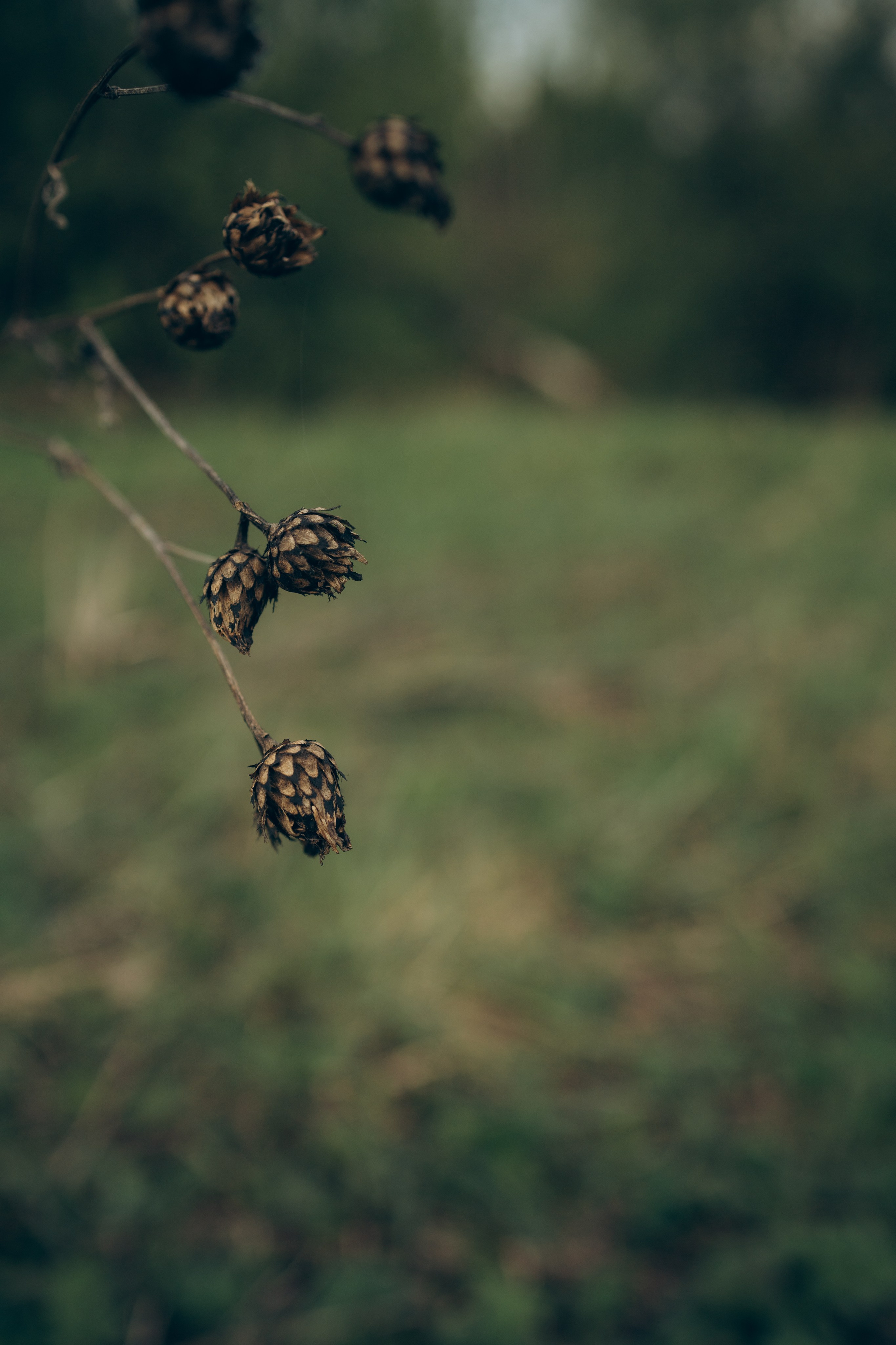 Istra. Женский фотограф Истра