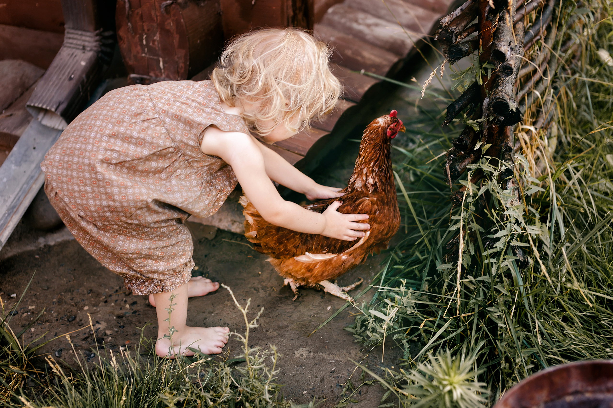 Алиса и ее курочка. Детский и семейный фотограф Наталья Шигидина