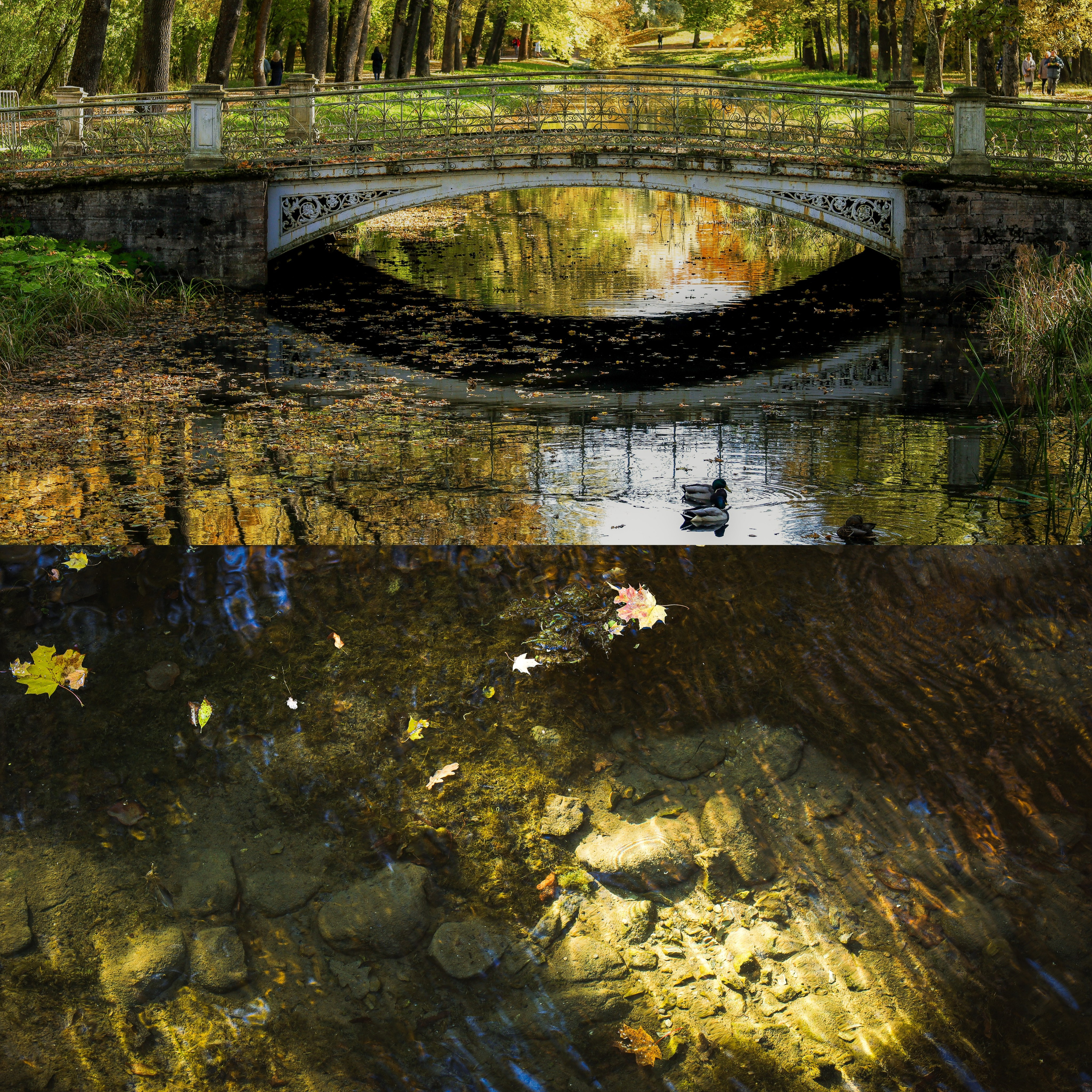 "Кто бескорыстно вдохновлён , тот свободен"                                                          А.Ф. Лосев