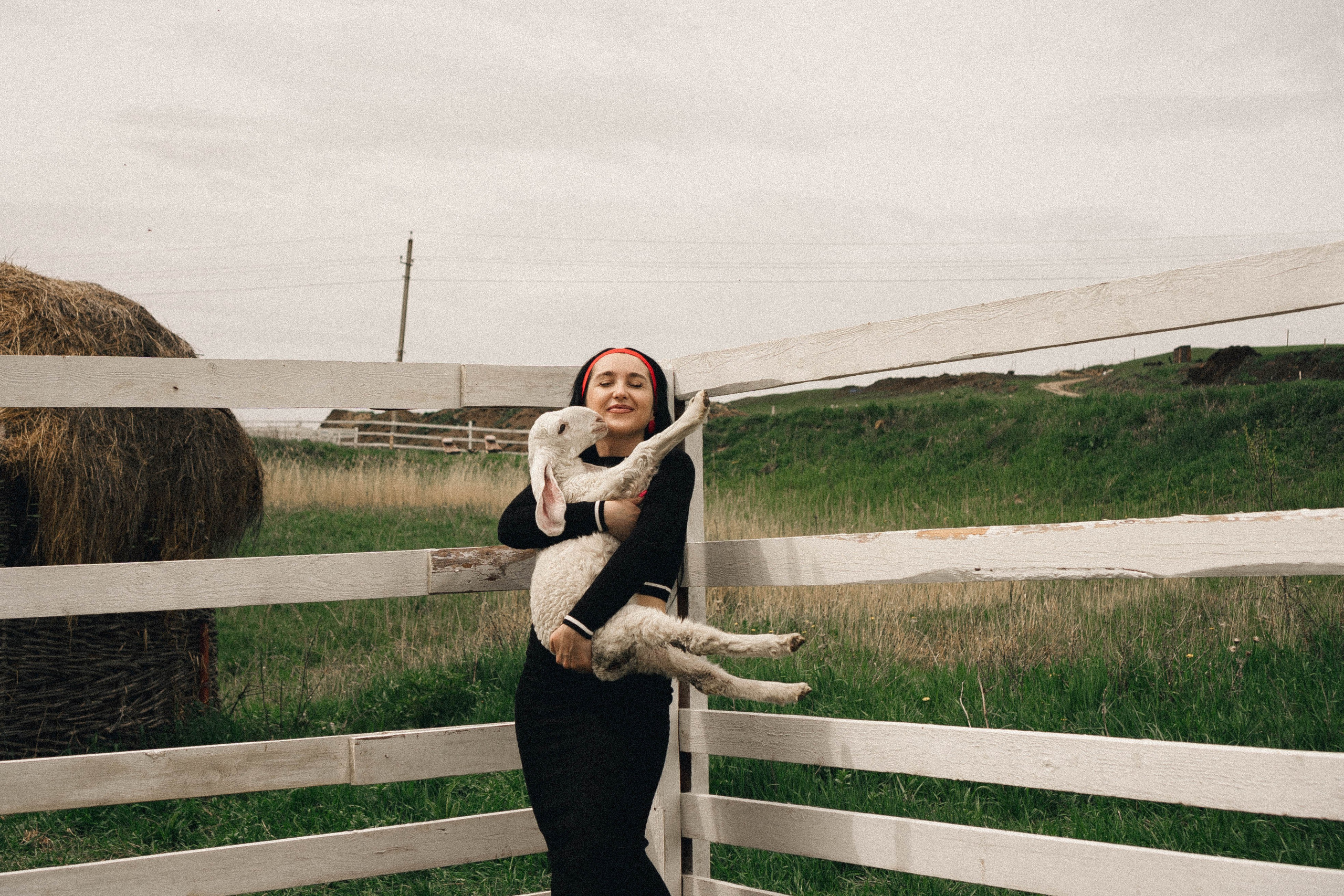 Ферма Альпак. Профессиональный фотограф, Санкт-Петербург — Виктория Богомолова