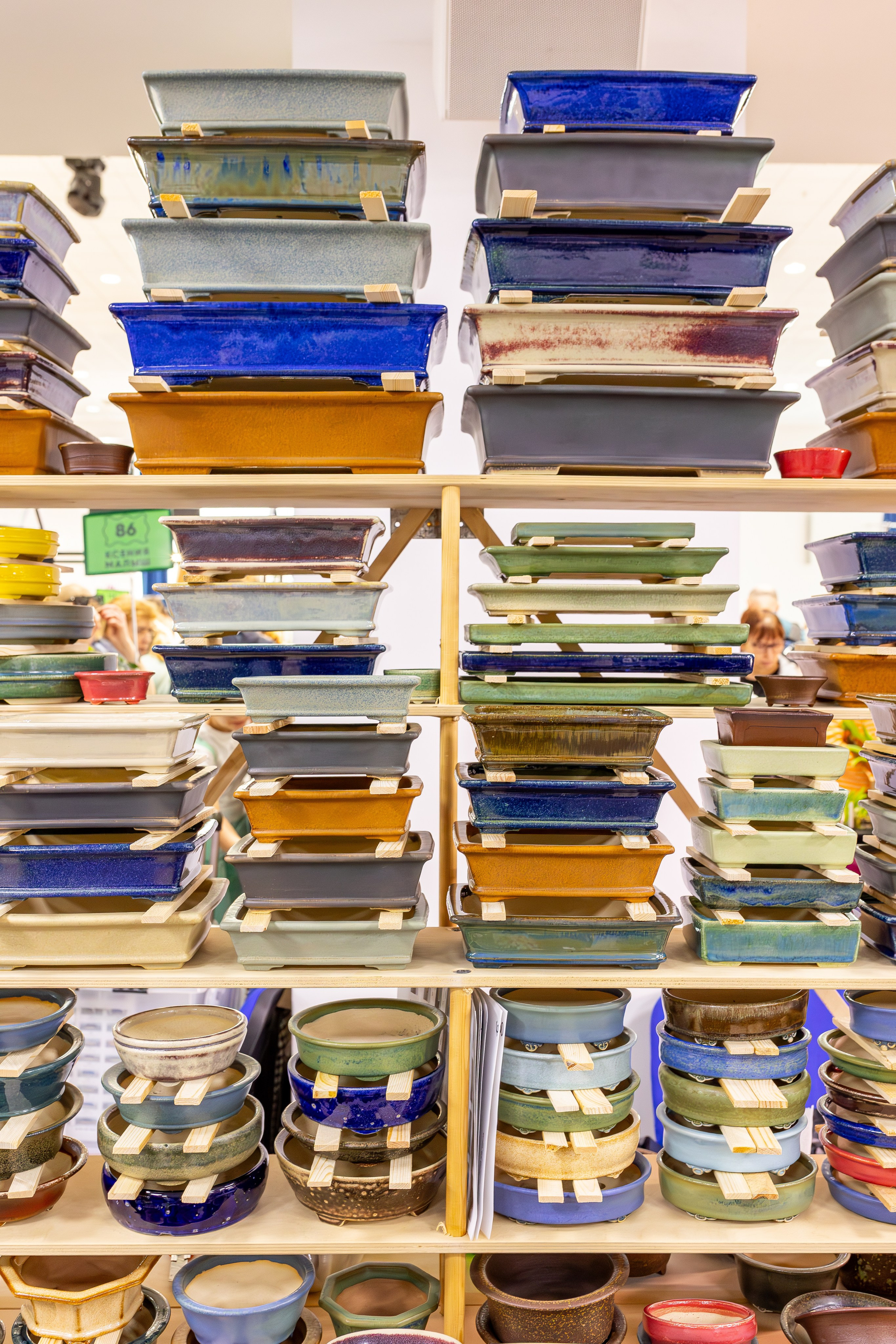 Орхидиум май 2025. Александра Куликова фотограф, Москва