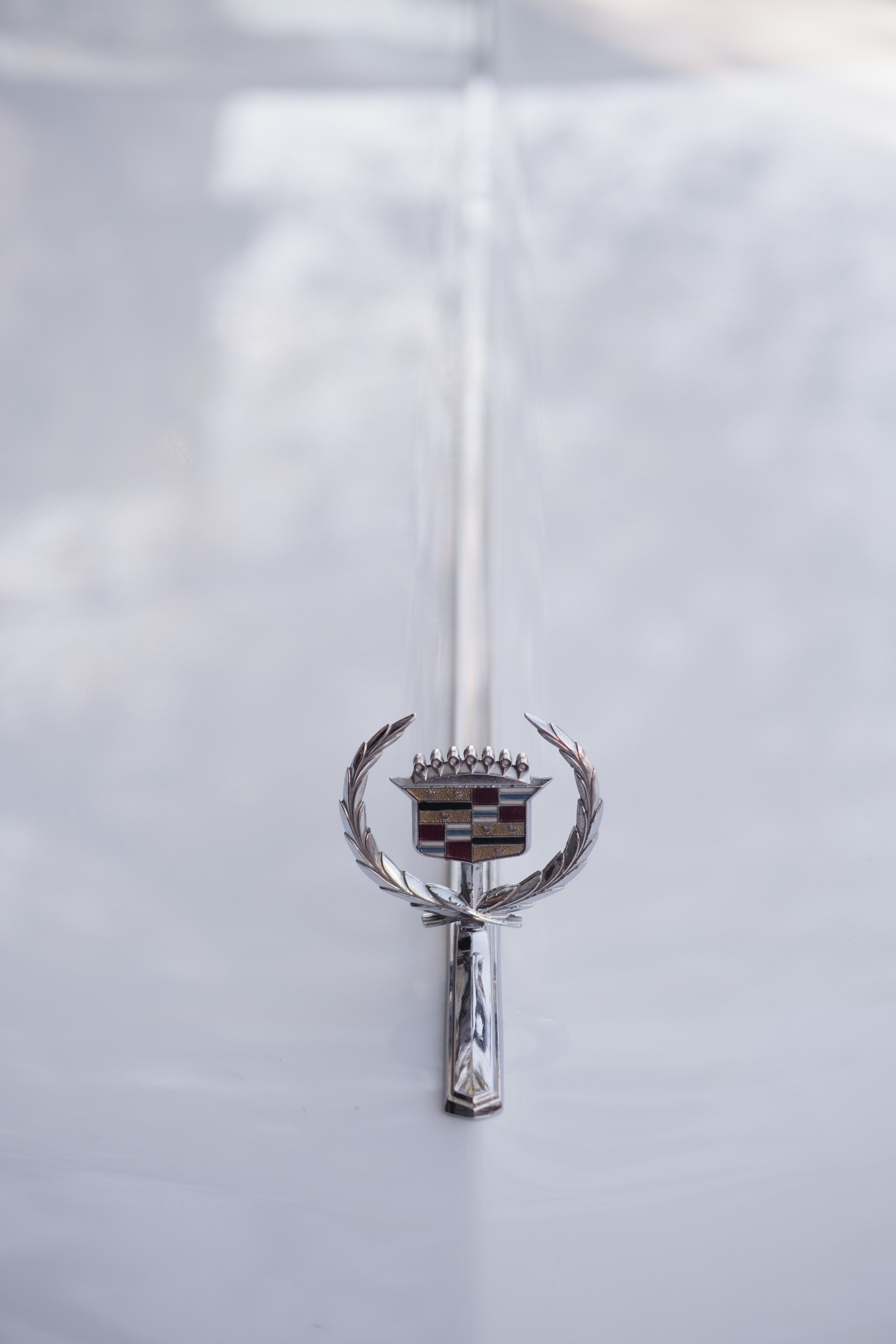 Роман&Анна. Свадебный фотограф в Астрахани Эльнар Юсупов