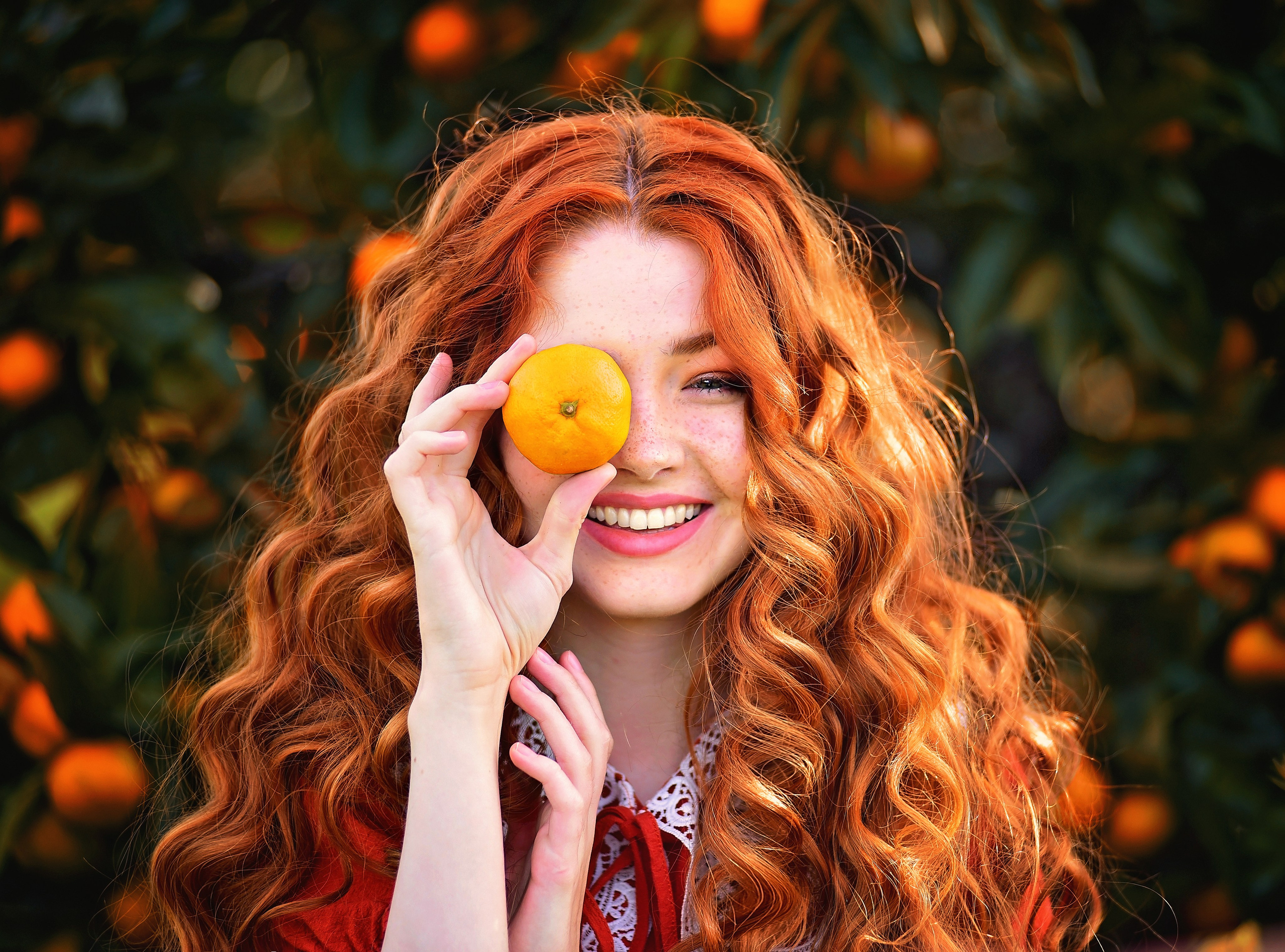 Мандарины. Главная